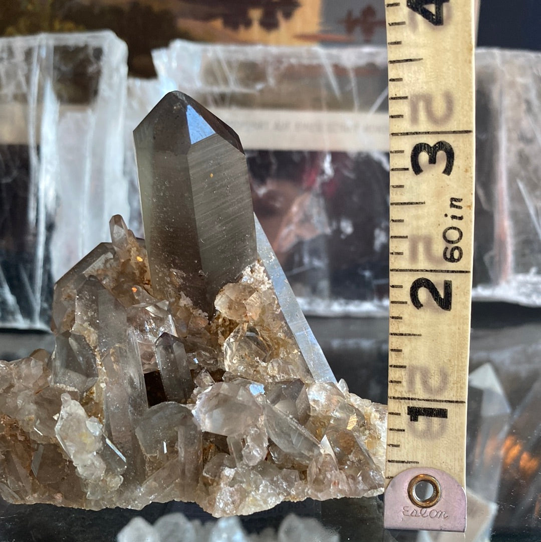 Smoky Quartz Cluster w/ Rainbowwsss! 264 grams - Moon Room Shop and Wellness