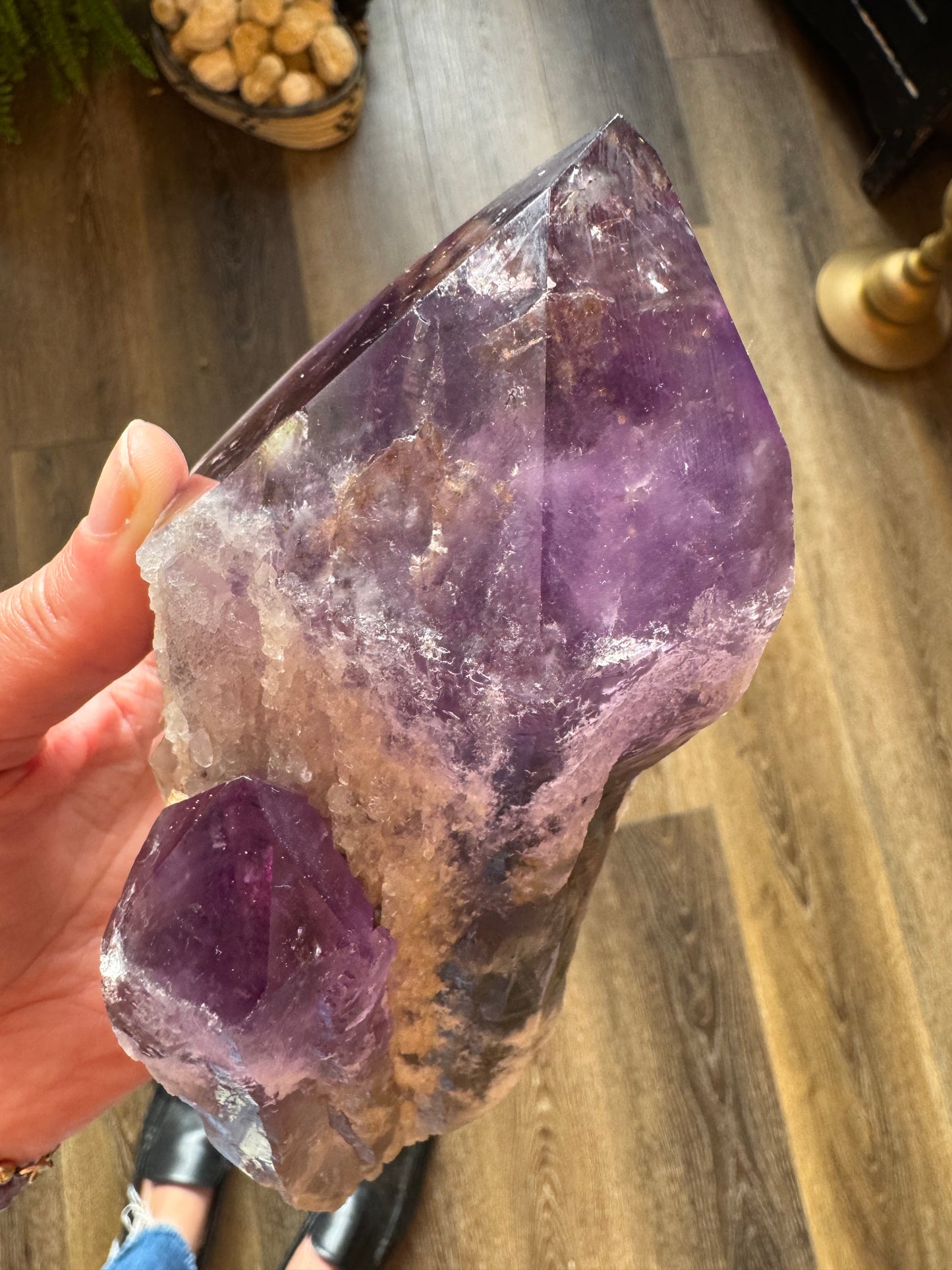 Amethyst Double Point Spear Dragons Tooth Spear 2.75 lb - Moon Room Shop and Wellness