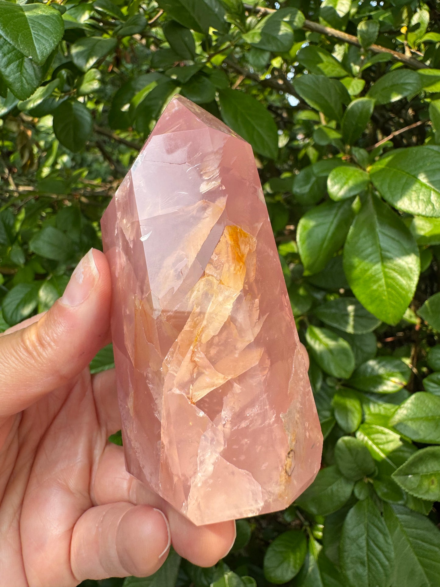 Guava Rose Quartz w Golden Healer - Gorgeous! 304 g - Brazil - Moon Room Shop and Wellness