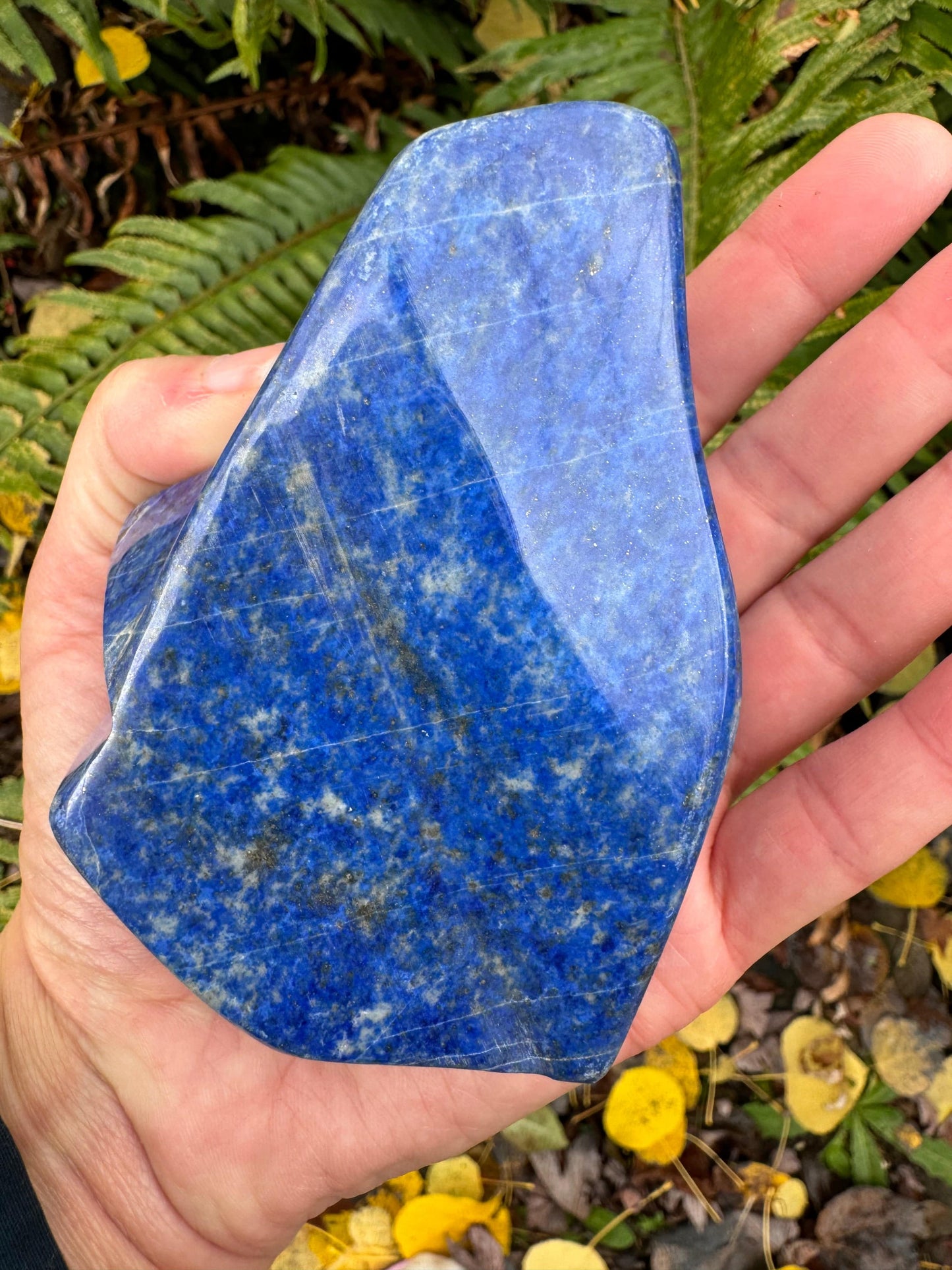 Lapis Lazuli Freeform Afghanistan 1.08 lb- Moon Room Shop and Wellness