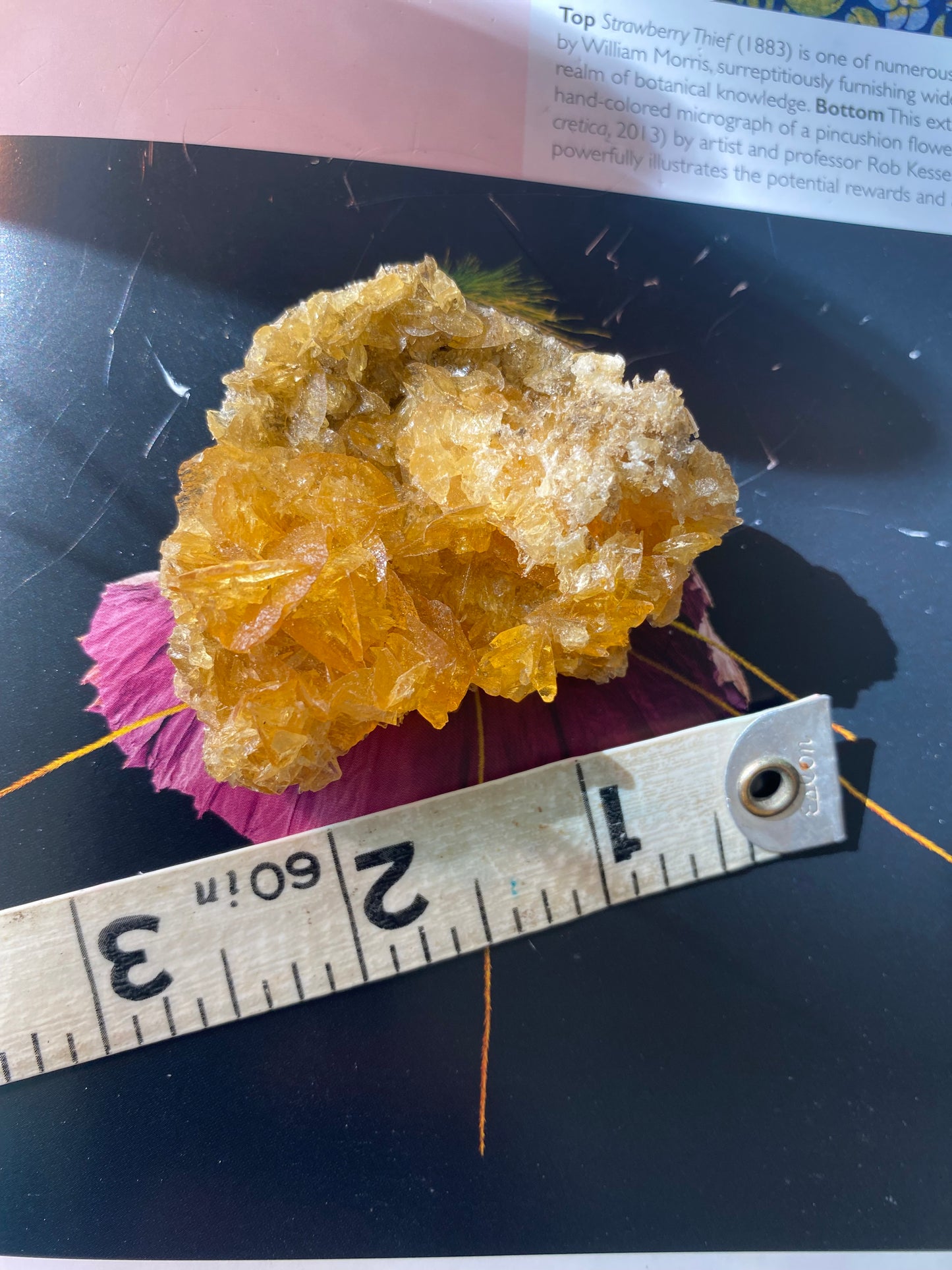 Golden Selenite w/ Halite - 22 g - Peru- UV Reactive - Moon Room Shop and Wellness
