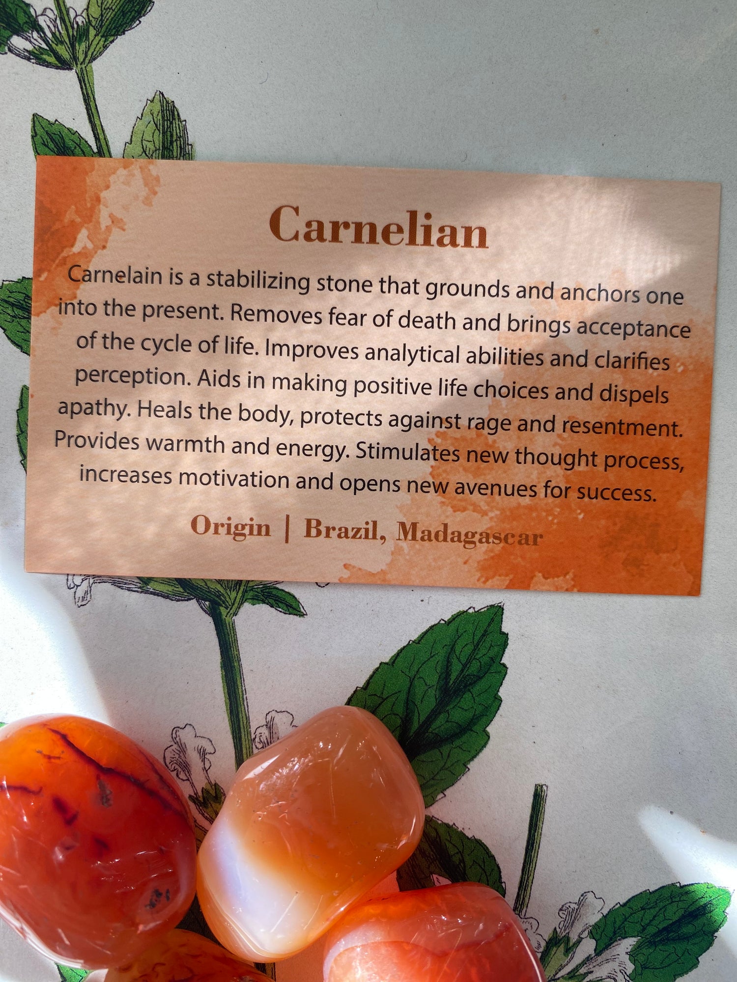 Carnelian Tumbled - Moon Room Shop and Wellness