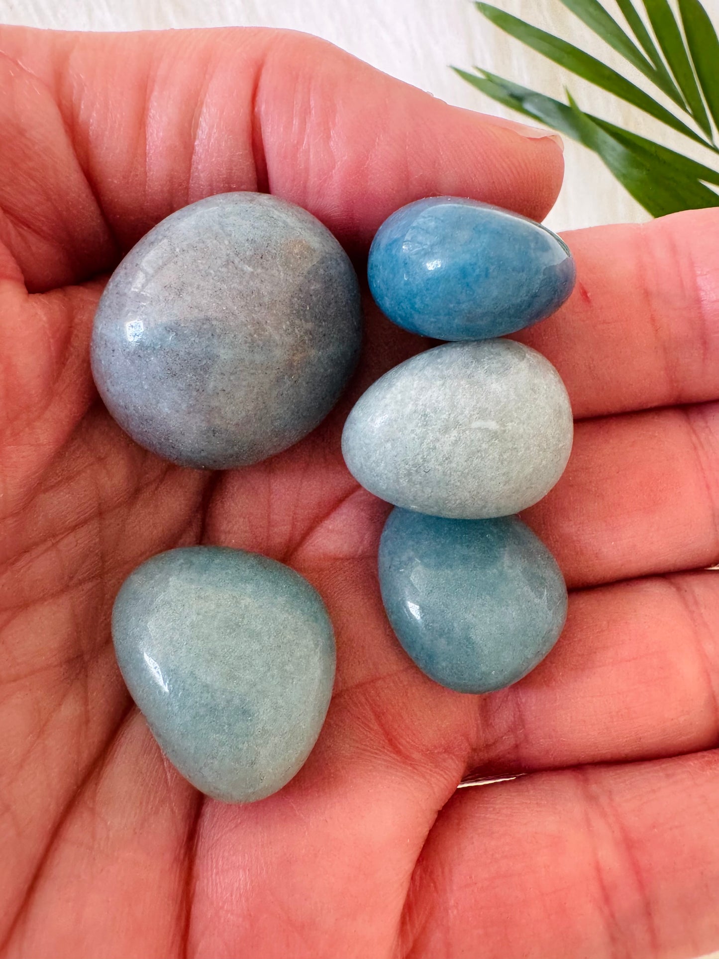 Trolleite Tumbled - Moon Room Shop and Wellness