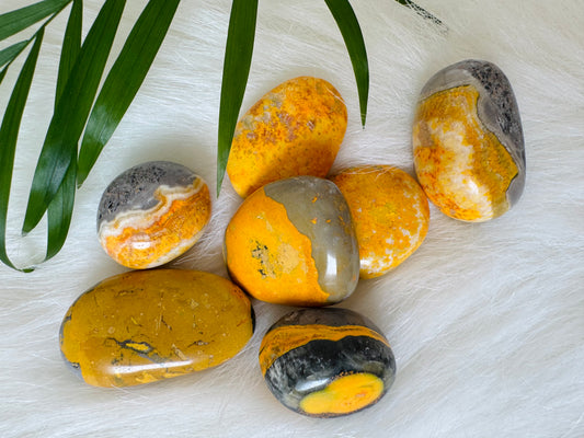 Bumblebee Jasper Tumbled - Moon Room Shop and Wellness