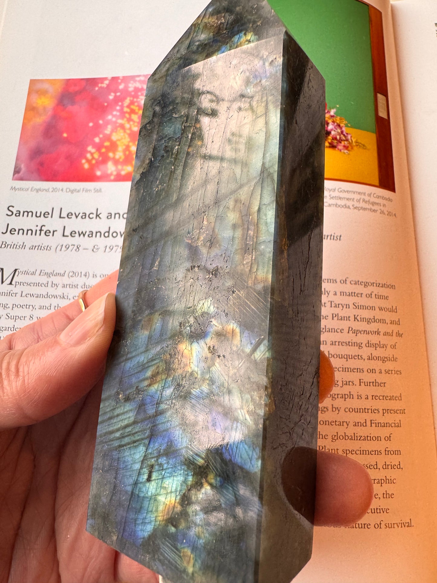 Labradorite Tower 301 g - Moon Room Shop and Wellness