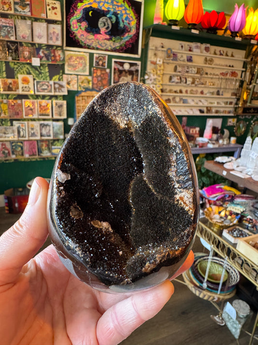 Septarian Dragon Egg 1.75 lb - Moon Room Shop and Wellness
