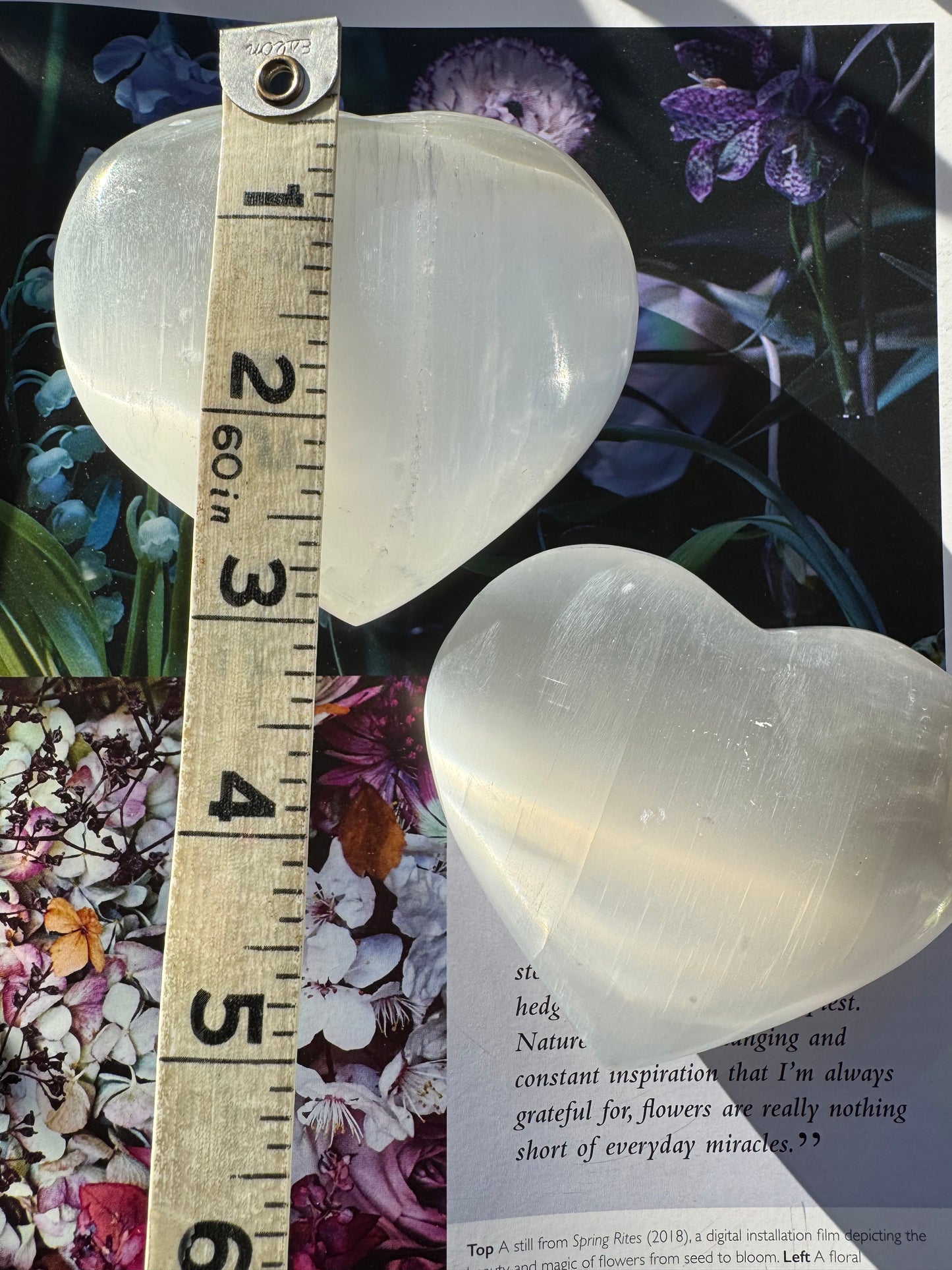 Selenite Heart Large - Moon Room Shop and Wellness