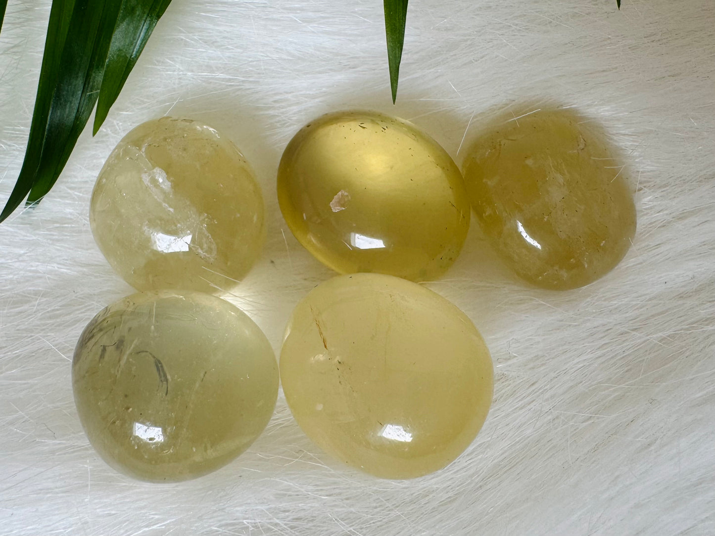 Lemon Quartz Tumbled - Moon Room Shop and Wellness