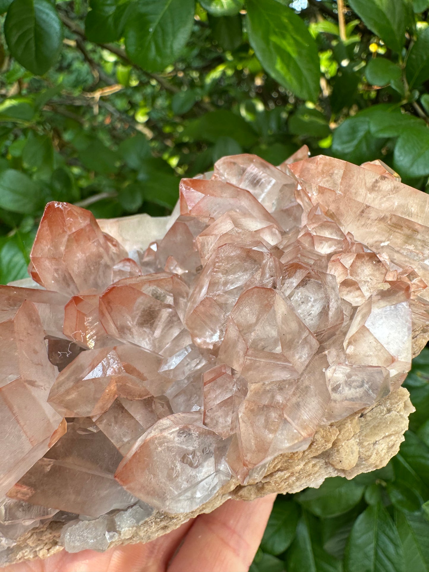 Pink Lithium Quartz Cluster 1lb 5oz - Brazil- Peaceful Beauty! - Moon Room Shop and Wellness