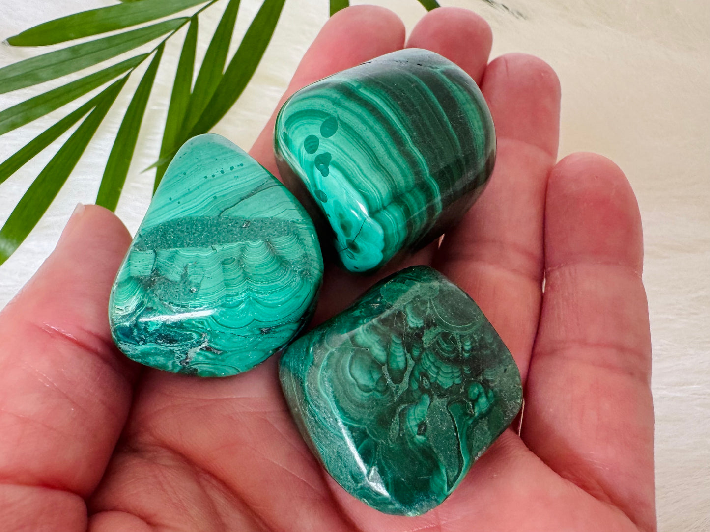Malachite Tumbled Stone - Moon Room Shop and Wellness