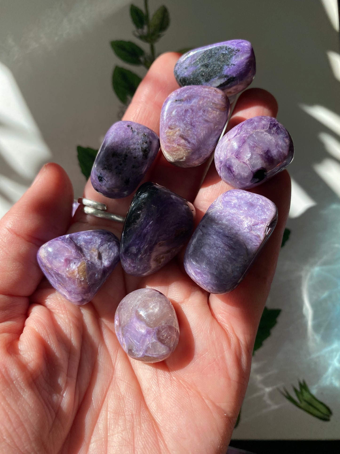 Charoite Tumbled  -Russia - Moon Room Shop and Wellness