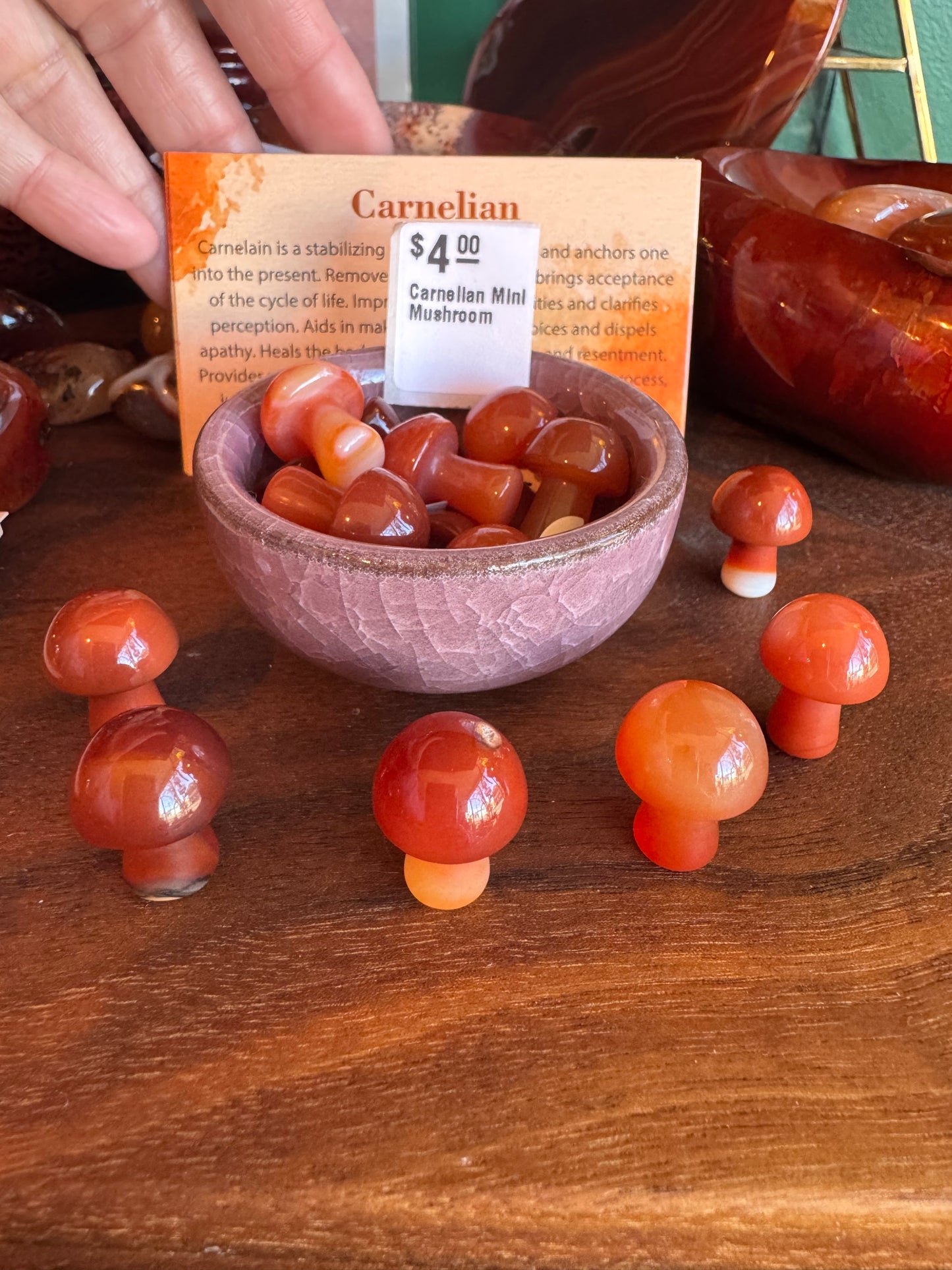 Carnelian Mini Mushroom - Moon Room Shop and Wellness