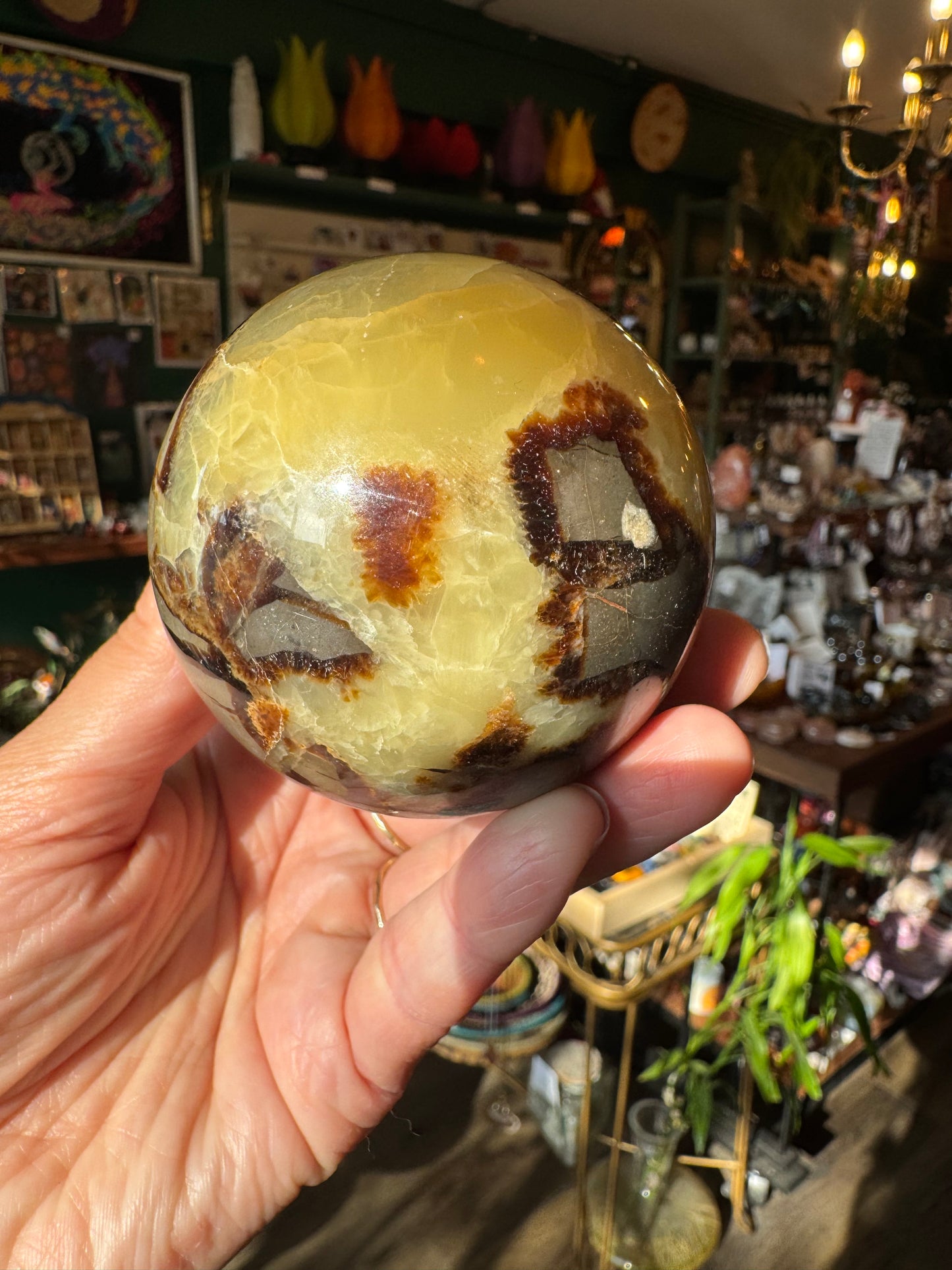 Septarian Sphere 405 g