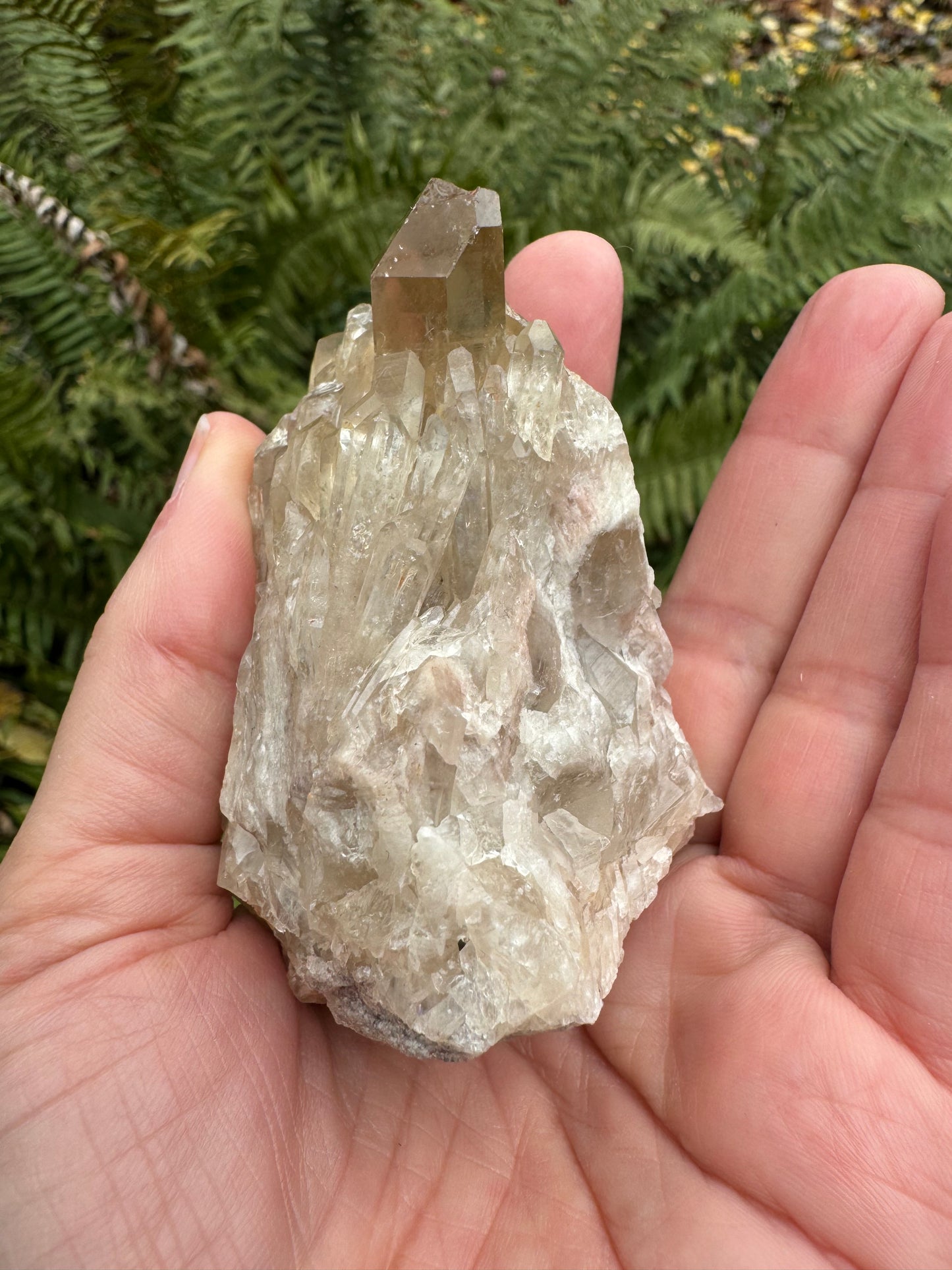 Kundalini Citrine 158 g - Moon Room Shop and Wellness
