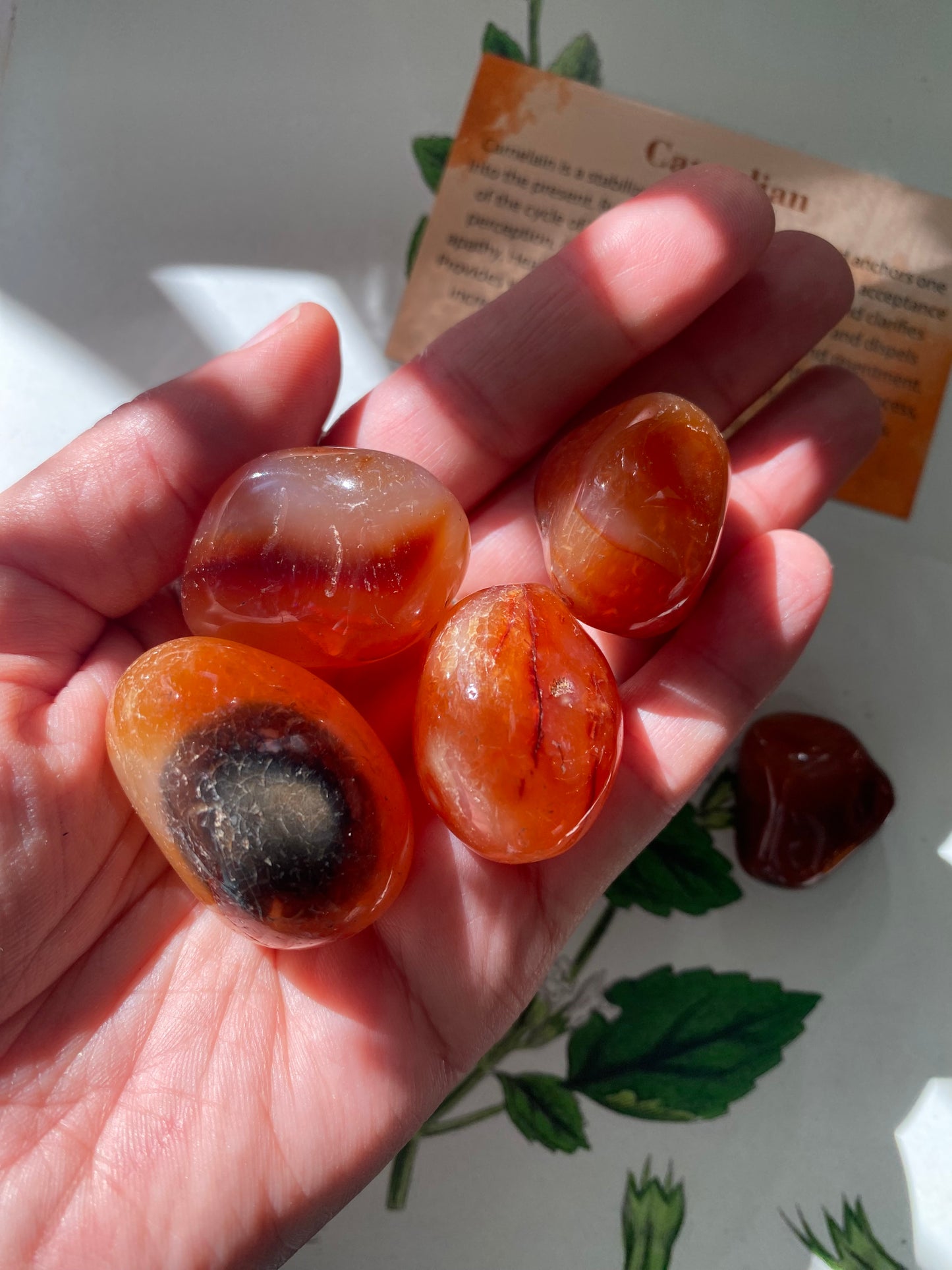 Carnelian Tumbled - Moon Room Shop and Wellness