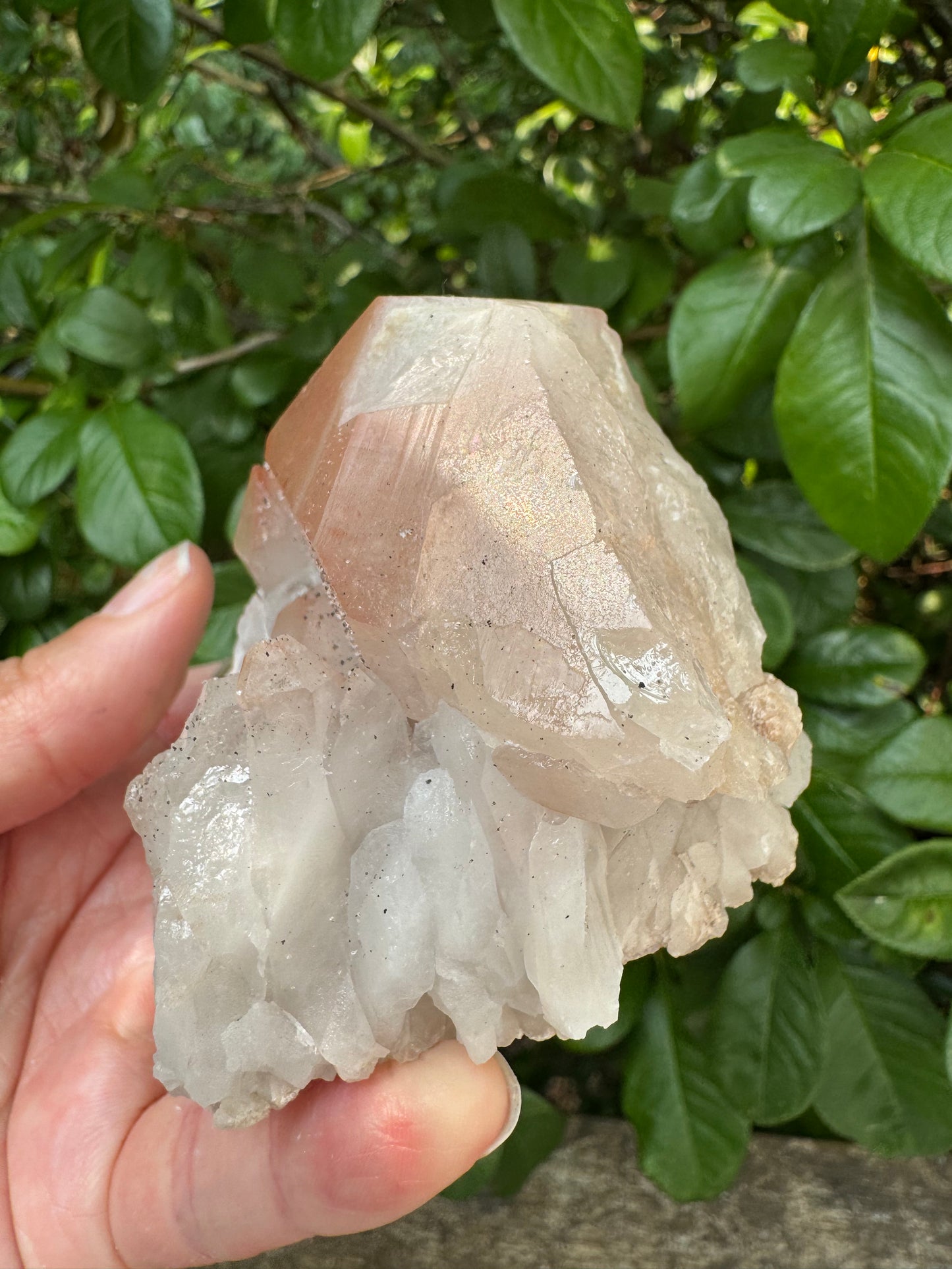 Pink Lithium Quartz Cluster 456 g - Brazil- Peaceful Beauty! - Moon Room Shop and Wellness