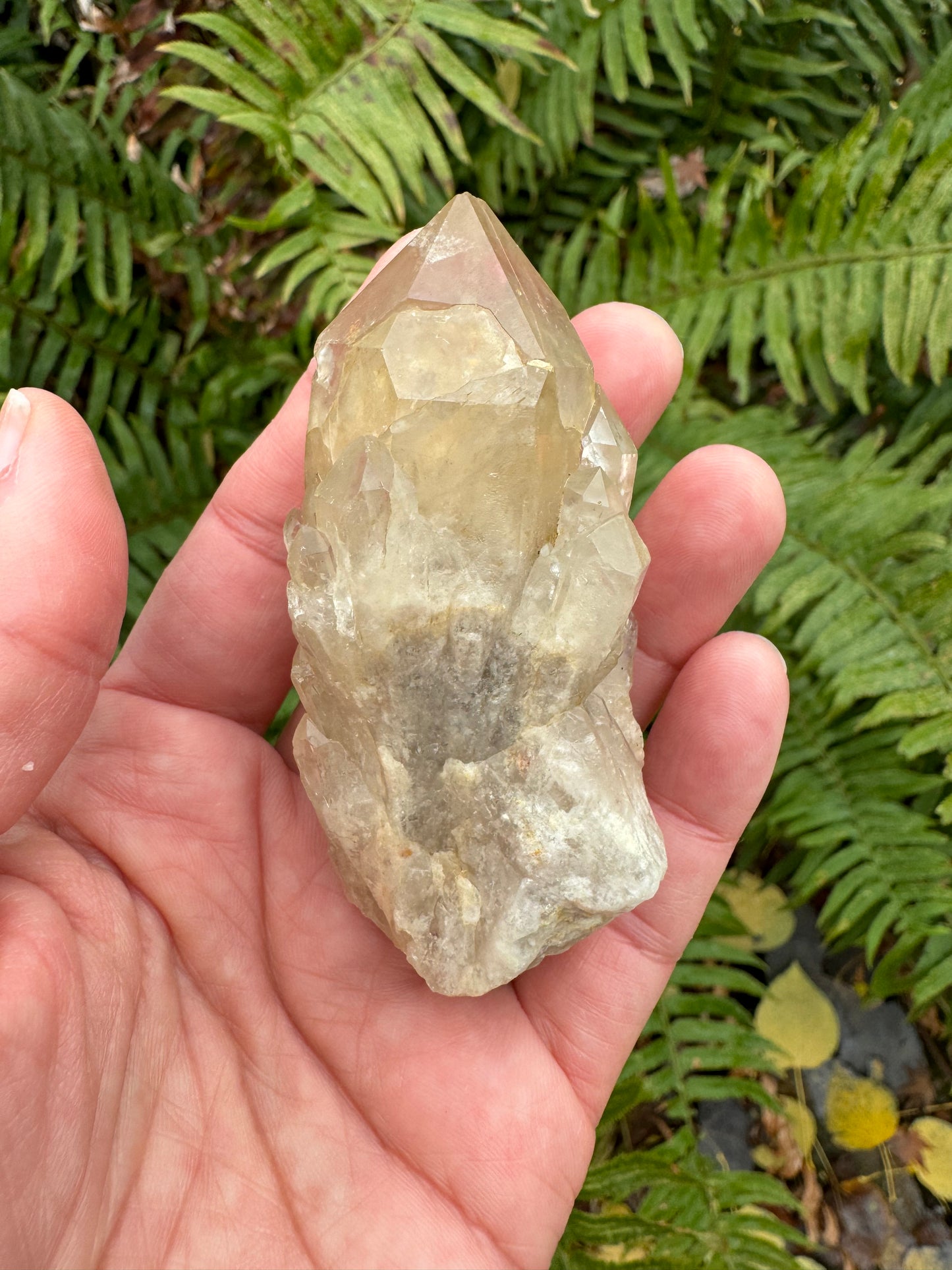 Kundalini Citrine 108 g - Moon Room Shop and Wellness