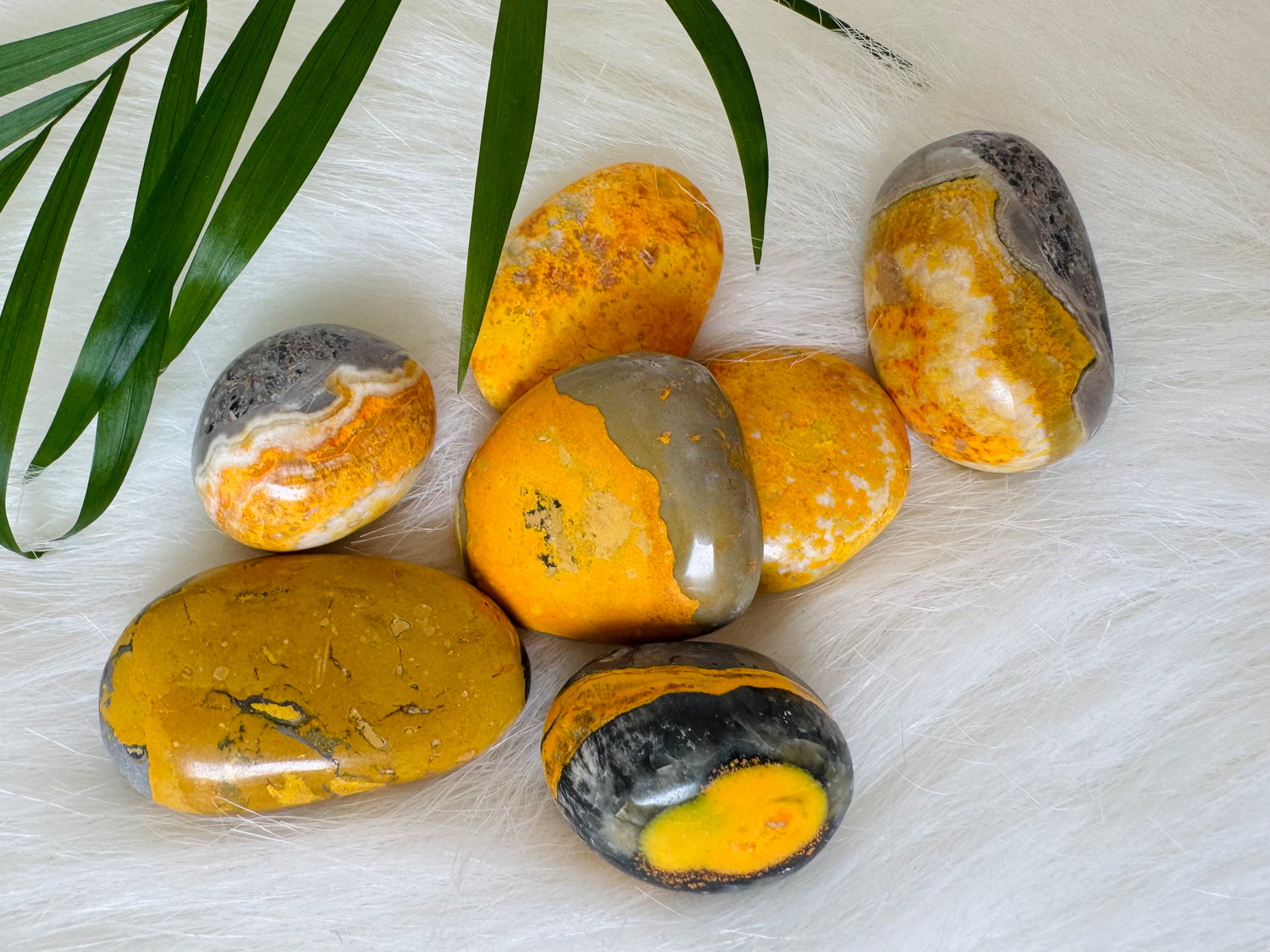 Bumblebee Jasper Tumbled - Moon Room Shop and Wellness