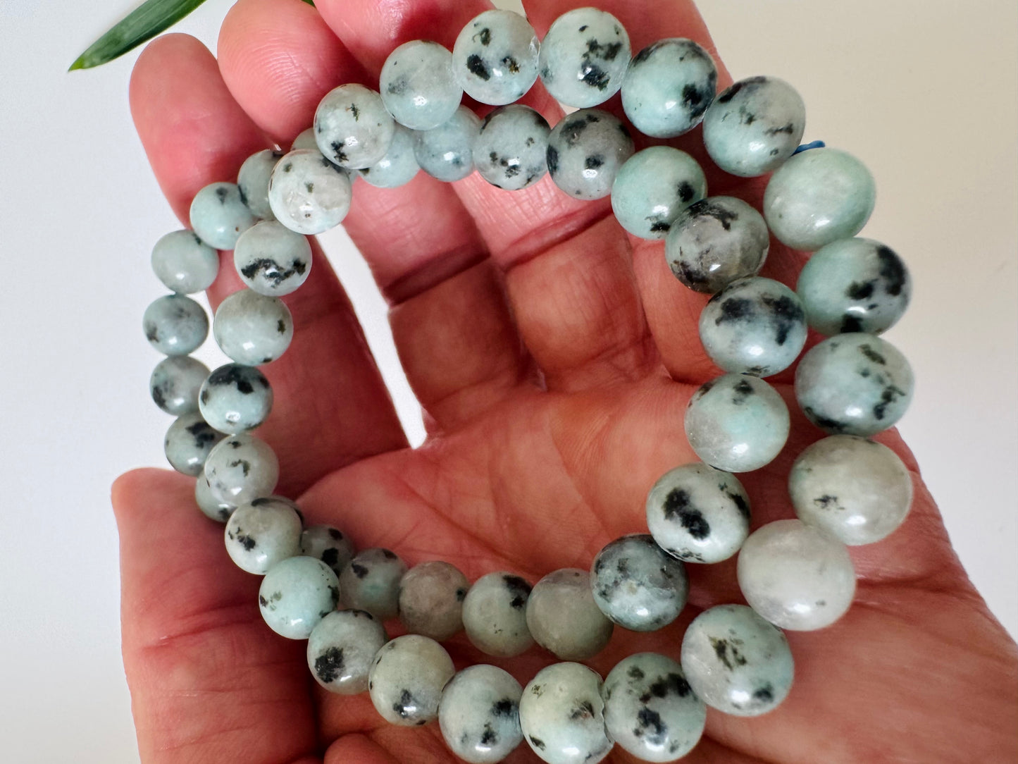 Kiwi Jasper Stretch Bracelet 8mm - Moon Room Shop and Wellness