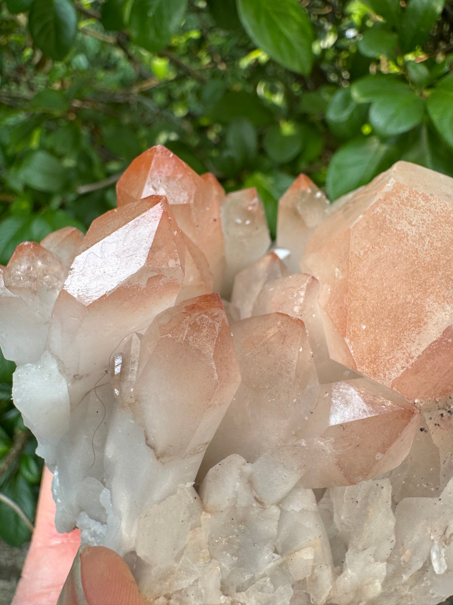 Pink Lithium Quartz Cluster 456 g - Brazil- Peaceful Beauty! - Moon Room Shop and Wellness
