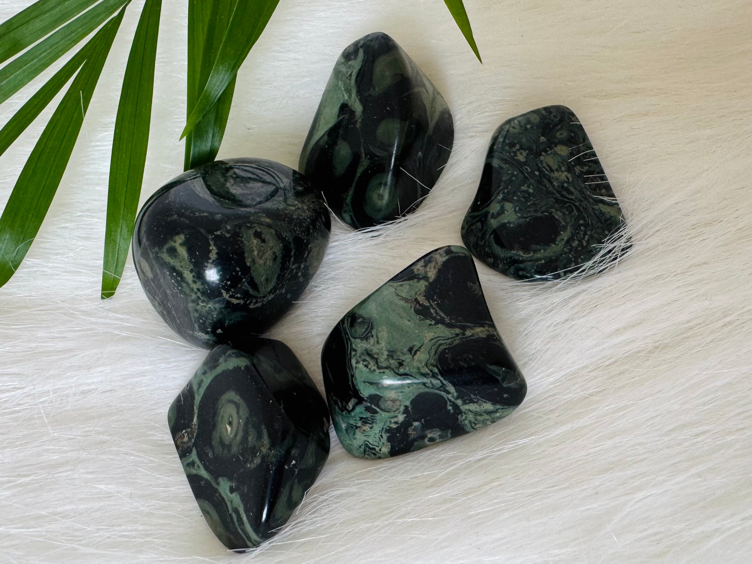 Kambaba Jasper Tumbled Madagascar - Moon Room Shop and Wellness