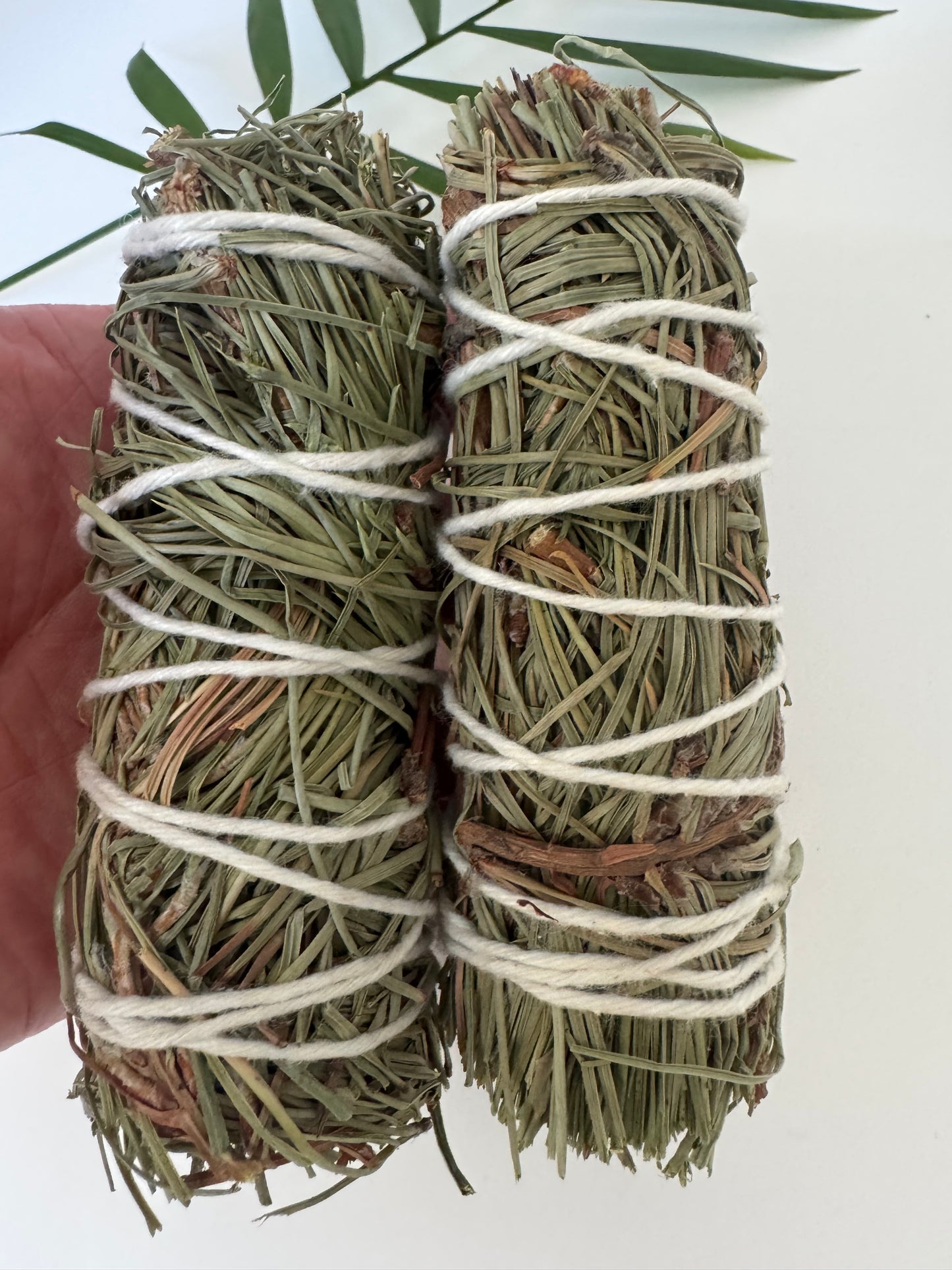 Pine Herb Wands