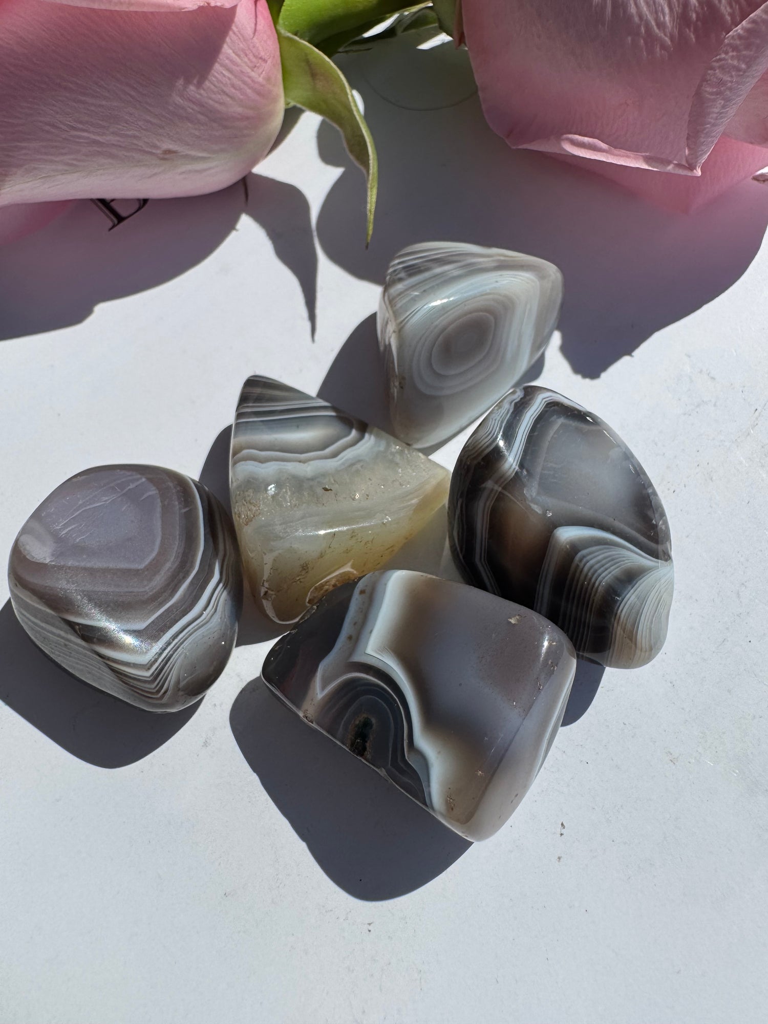 Botswana Agate Tumbled - Moon Room Shop and Wellness