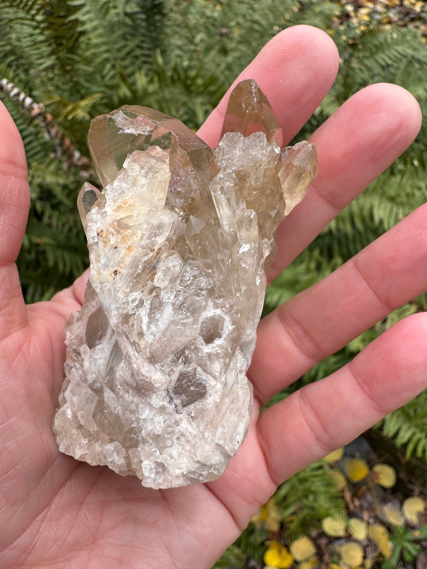 Kundalini Citrine 158 g - Moon Room Shop and Wellness