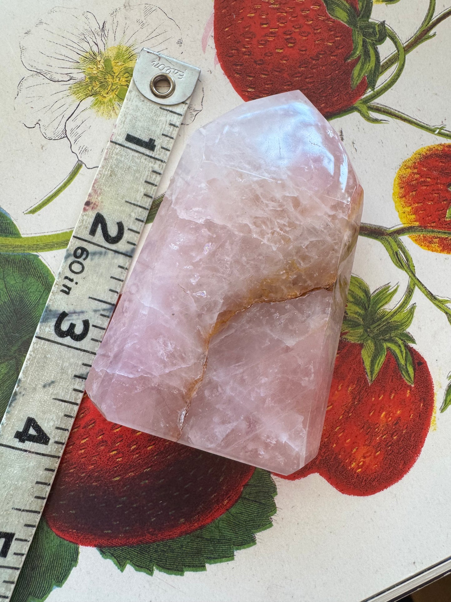 Rose Quartz with Golden Healer Tower 172 g - Brazilian Beauty! - Moon Room Shop and Wellness