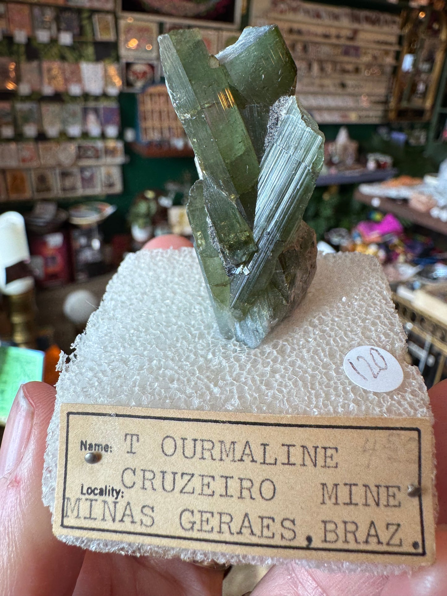 Green Tourmaline Specimen- Vintage Private Collection Piece- Brazil - Moon Room Shop and Wellness