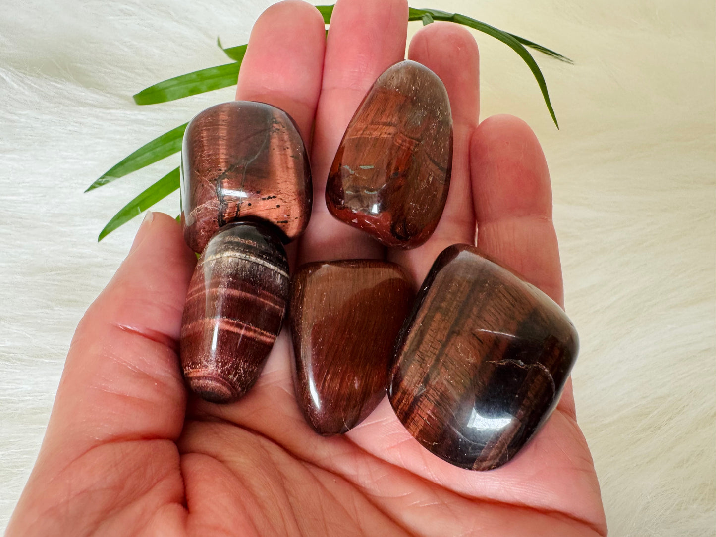 Red Tigers Eye Tumbled - Moon Room Shop and Wellness