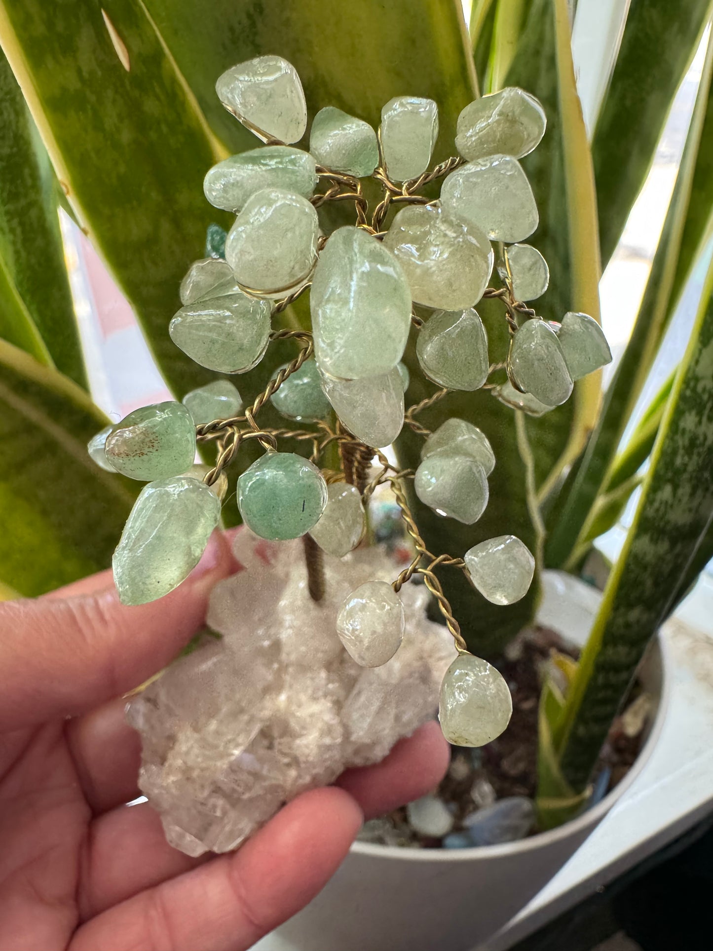 Green Aventurine Gem Tree on Clear Quartz -So Sweeeet!! - Moon Room Shop and Wellness