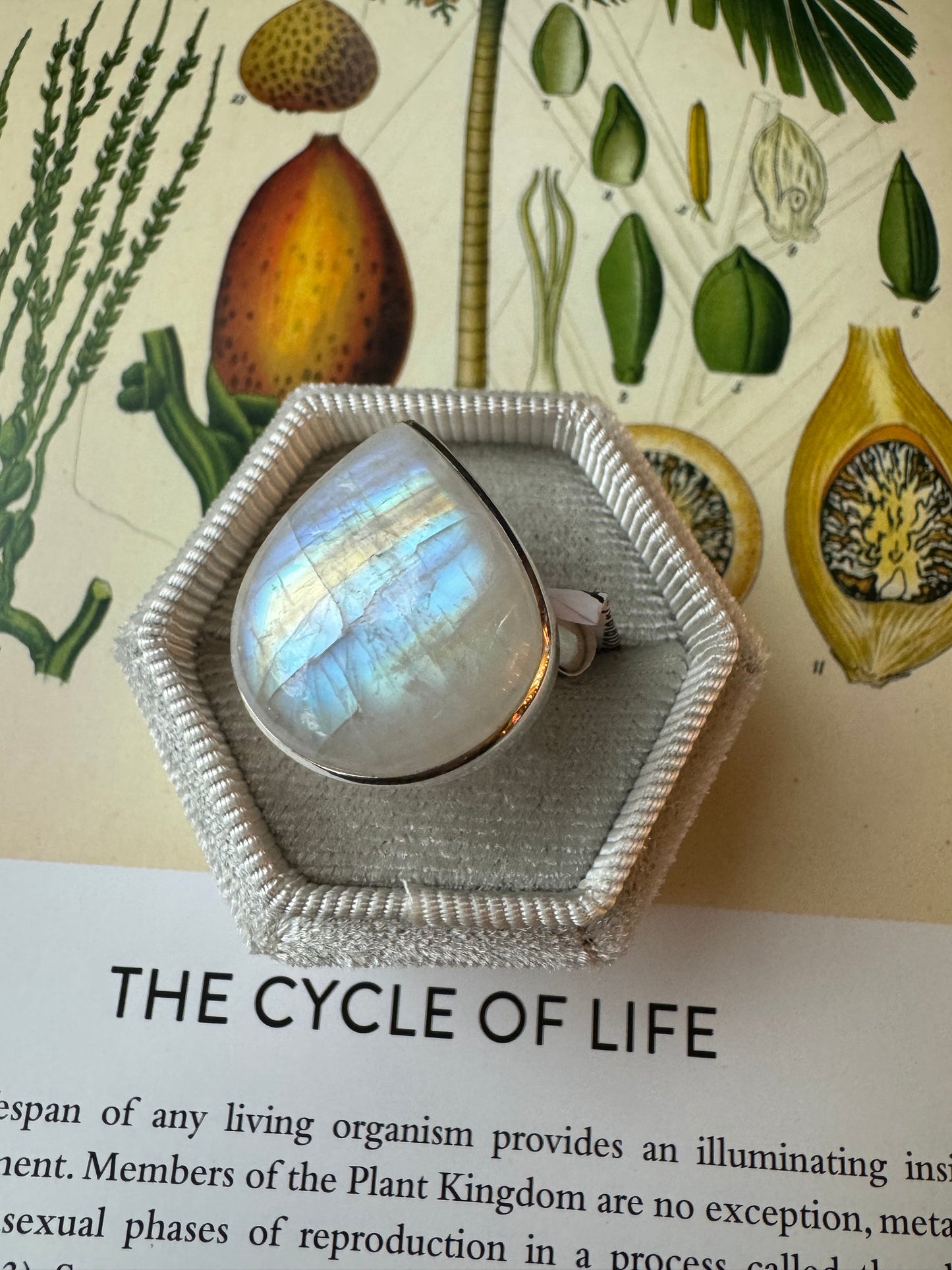 Moonstone Sterling Silver Ring Size Adjustable - Moon Room Shop and Wellness