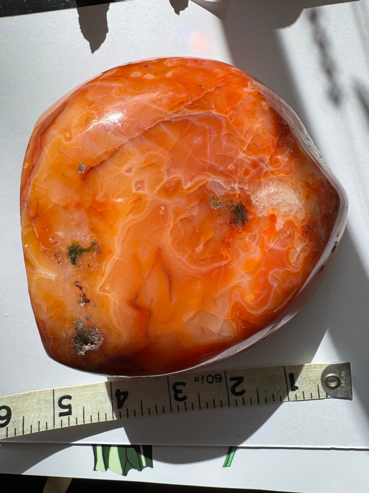 Carnelian Freeform 2.71lb - Moon Room Shop and Wellness