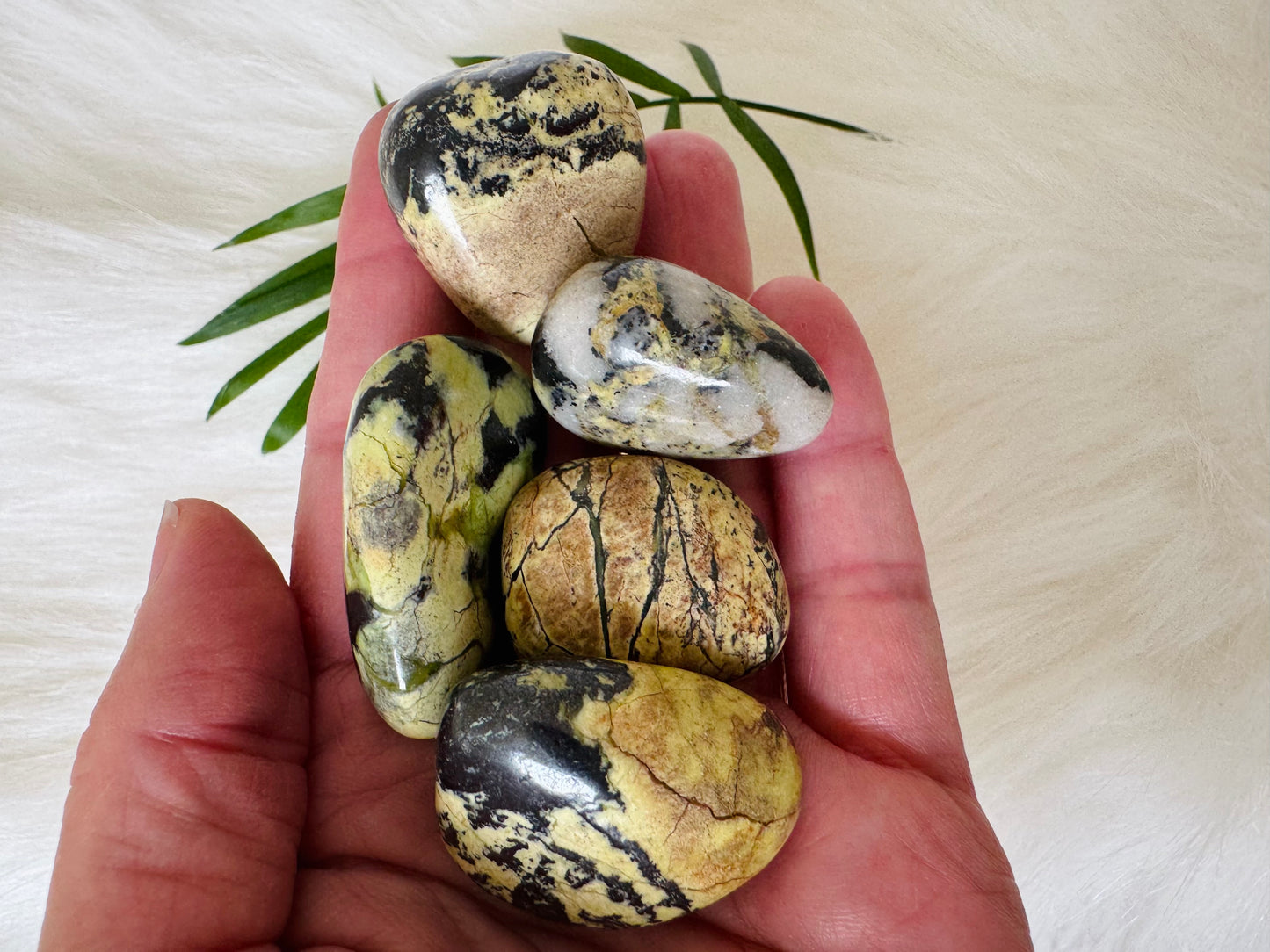 Serpentine Tumbled - Moon Room Shop and Wellness