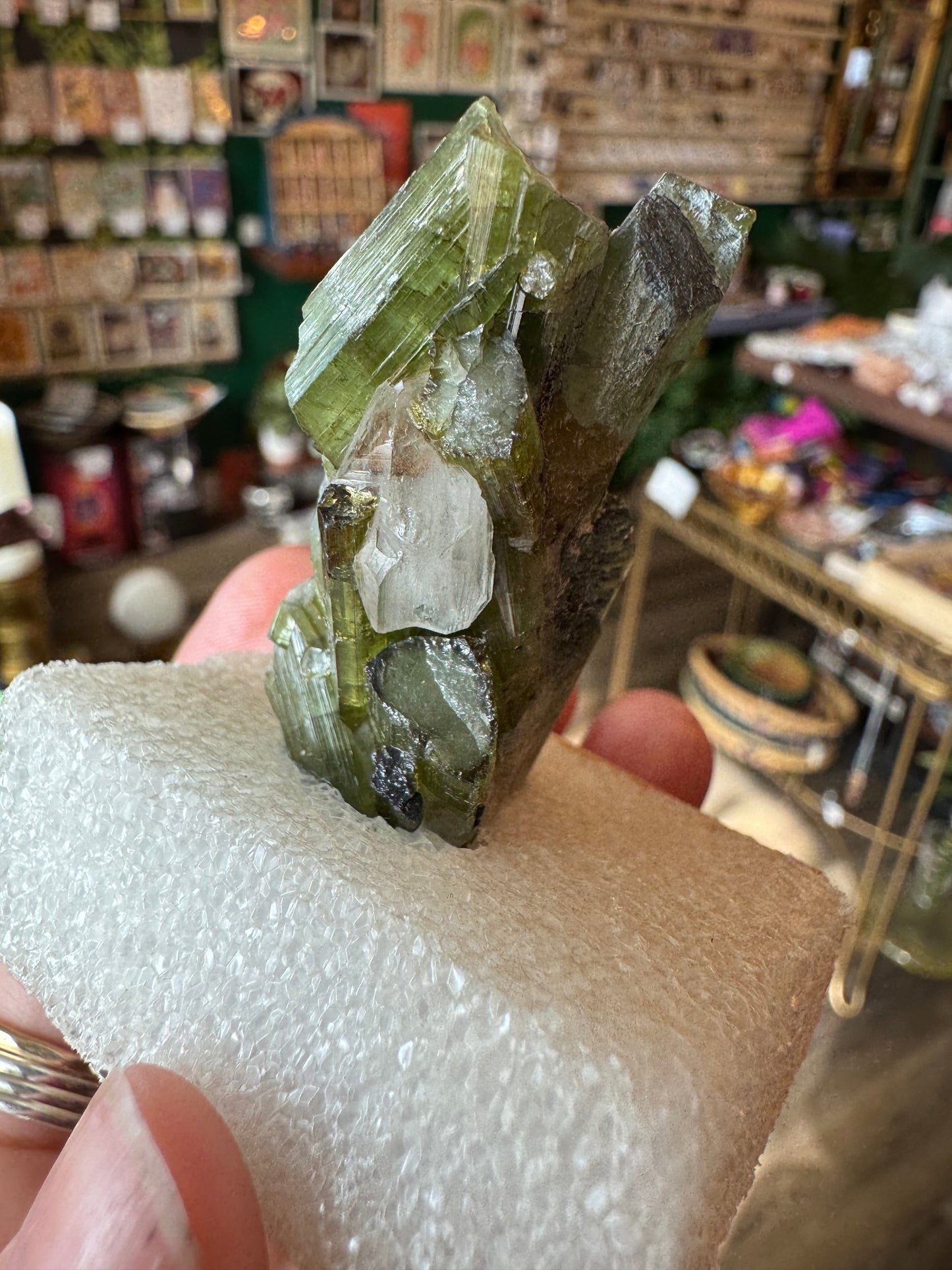 Green Tourmaline Specimen- Vintage Private Collection Piece- Brazil - Moon Room Shop and Wellness