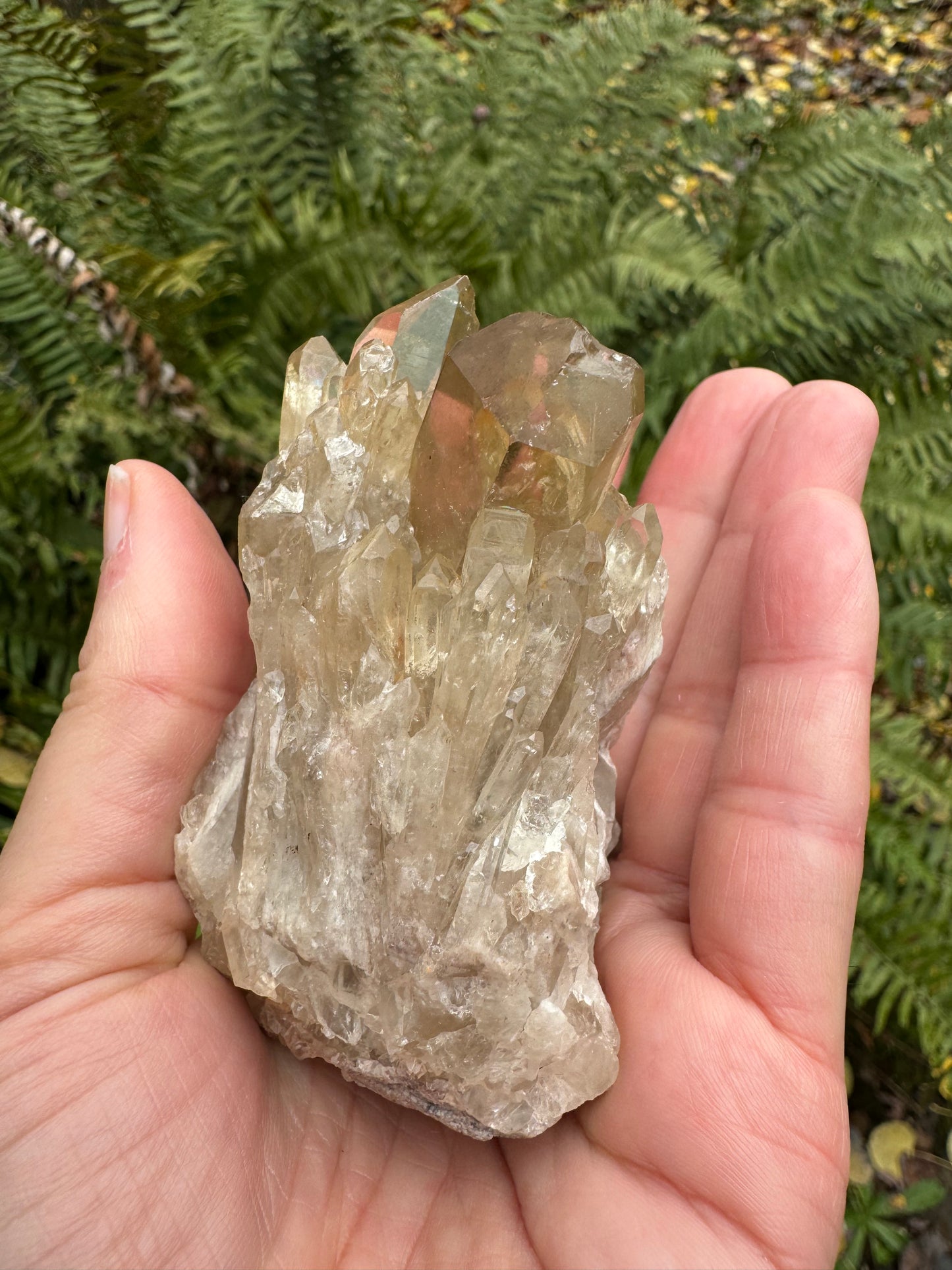 Kundalini Citrine 158 g - Moon Room Shop and Wellness
