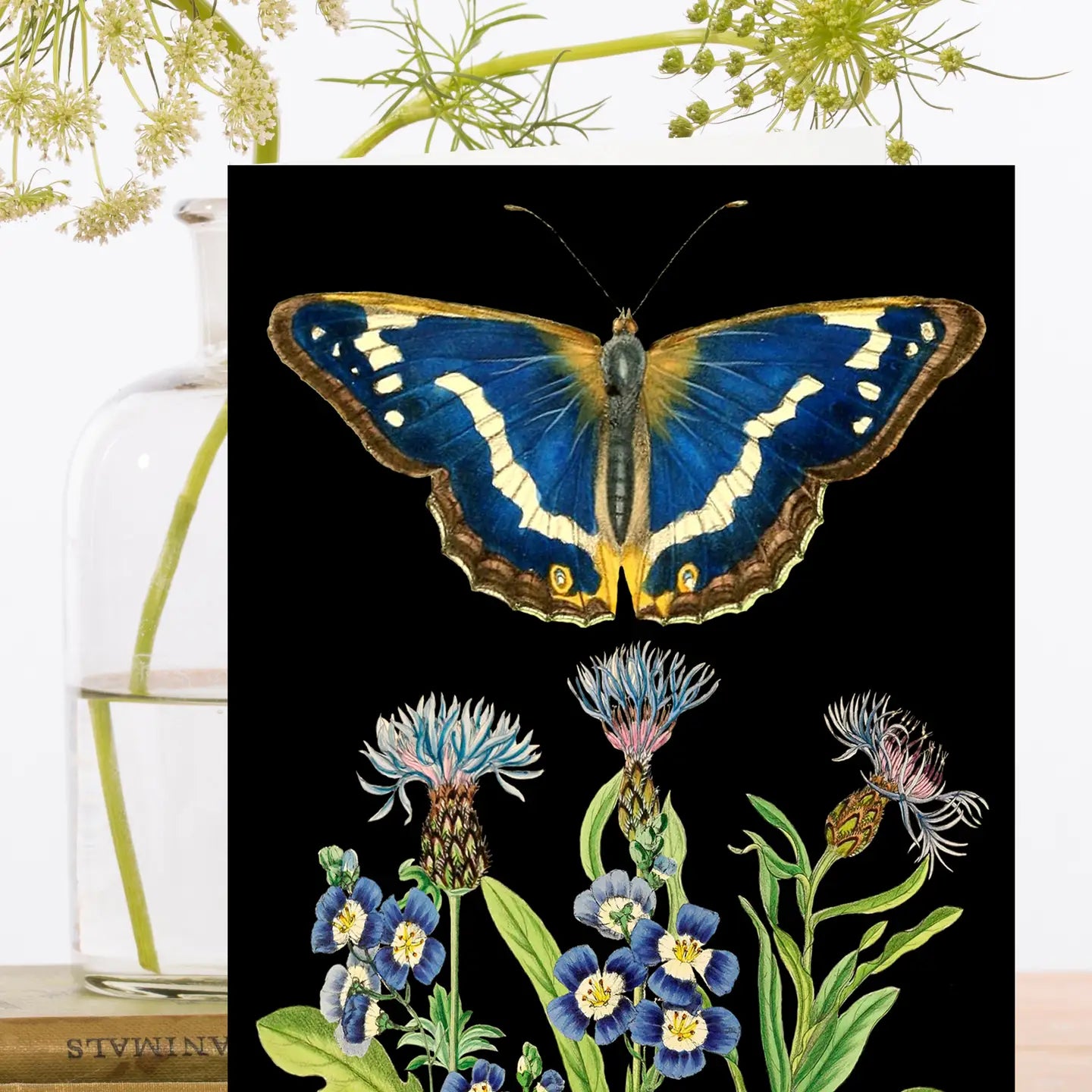 Night Butterfly Botanical Greeting Card - Blank - Moon Room Shop and Wellness