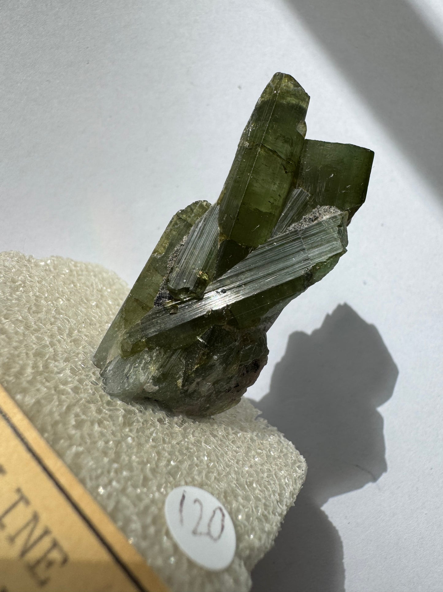 Green Tourmaline Specimen- Vintage Private Collection Piece- Brazil - Moon Room Shop and Wellness