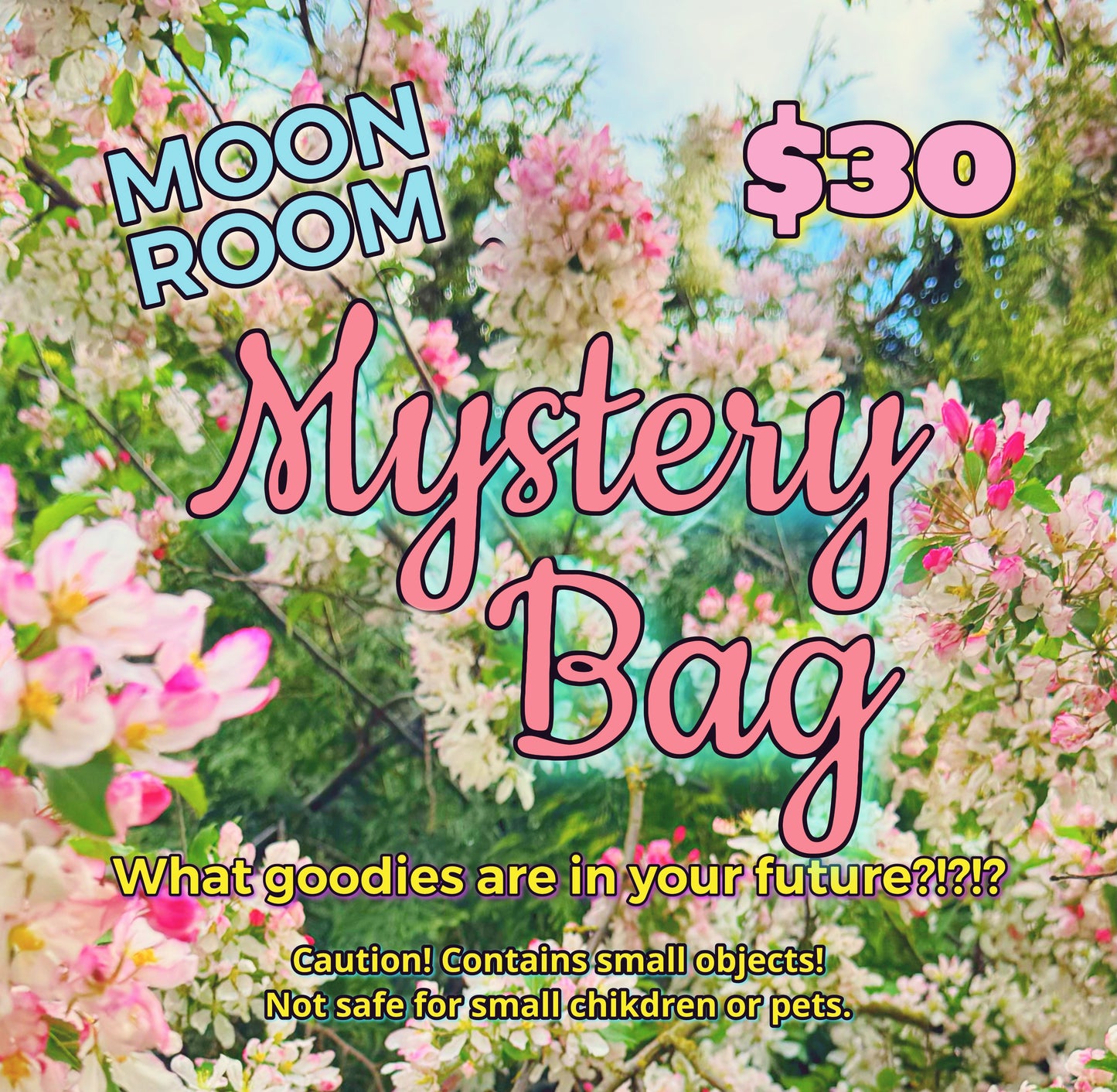 Moon Room Mystery Bag $30 - Moon Room Shop and Wellness