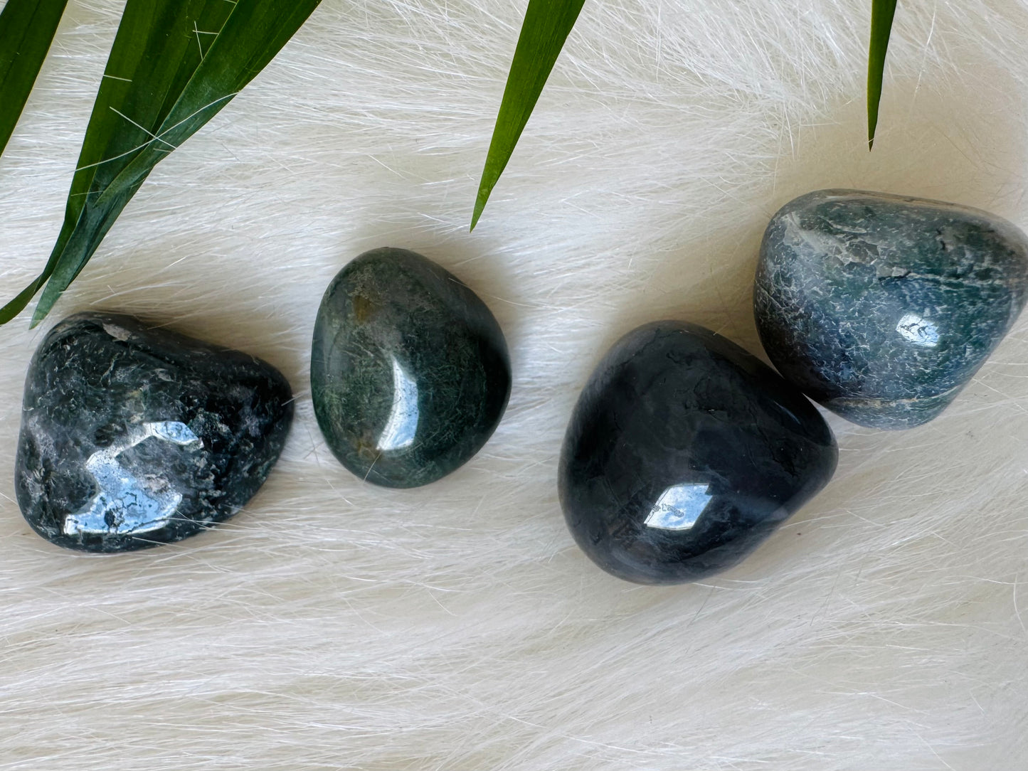 Moss Agate Tumbled - Moon Room Shop and Wellness