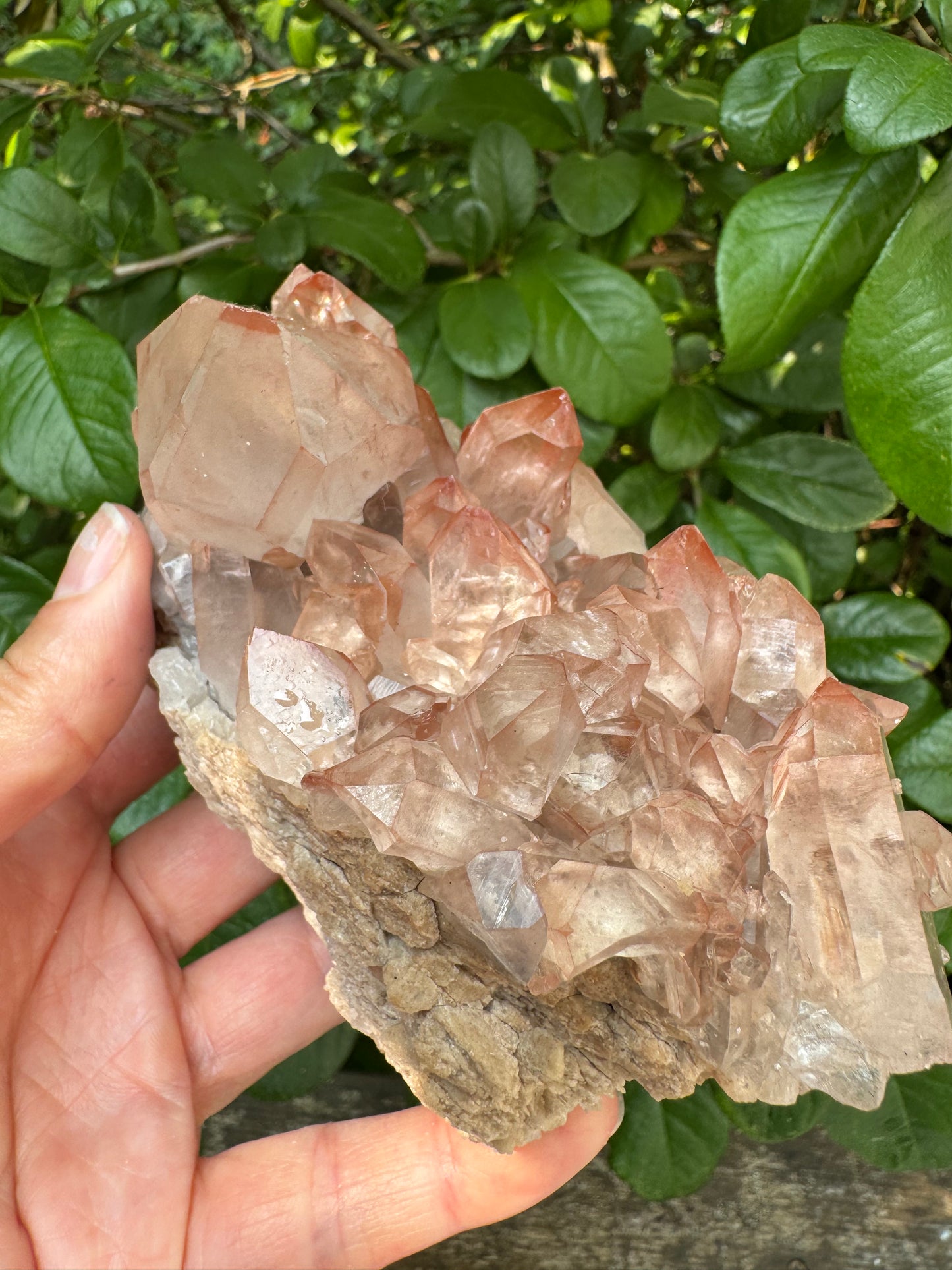 Pink Lithium Quartz Cluster 1lb 5oz - Brazil- Peaceful Beauty! - Moon Room Shop and Wellness