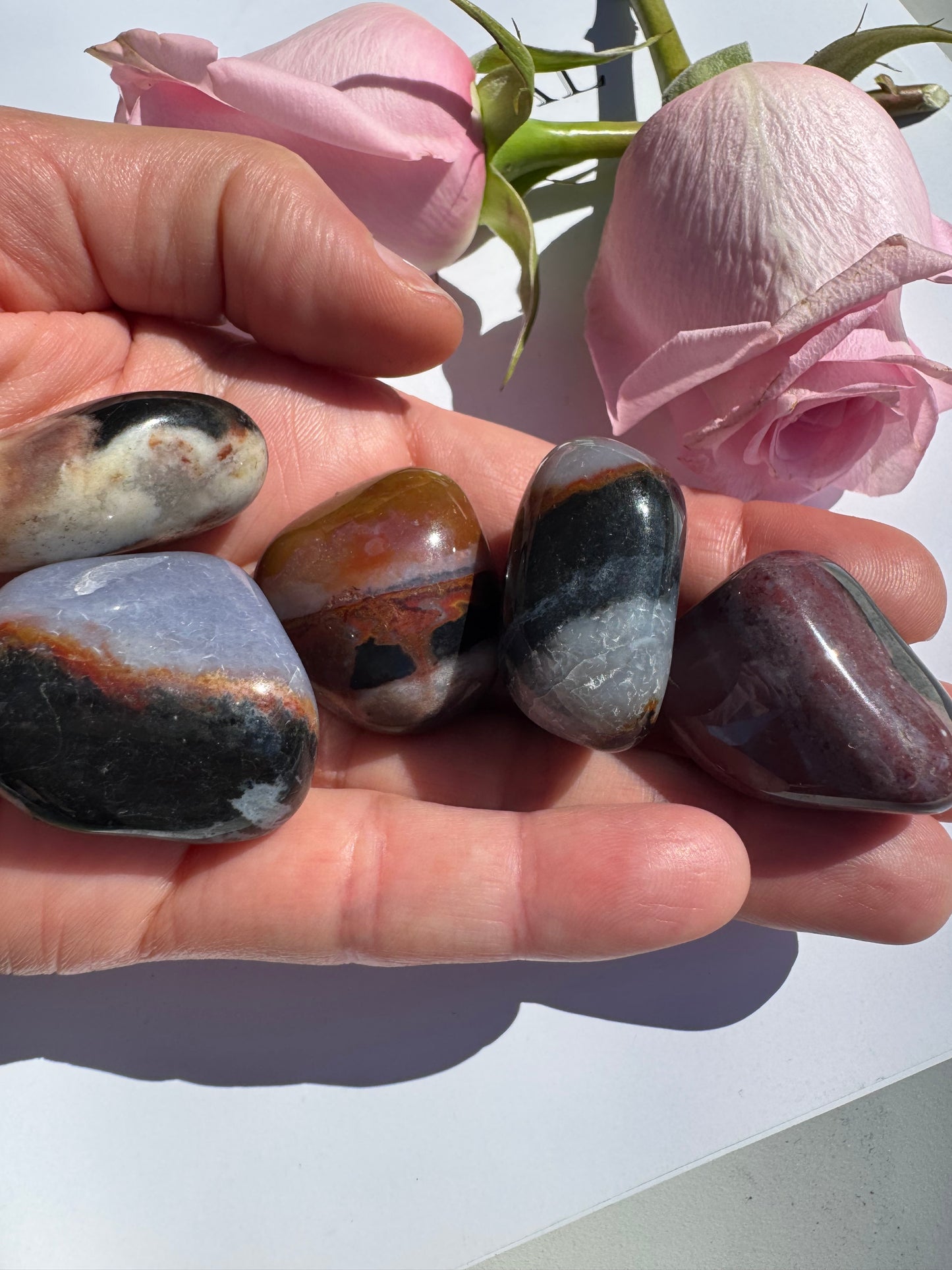 Black Sardonyx Tumbled - Moon Room Shop and Wellness