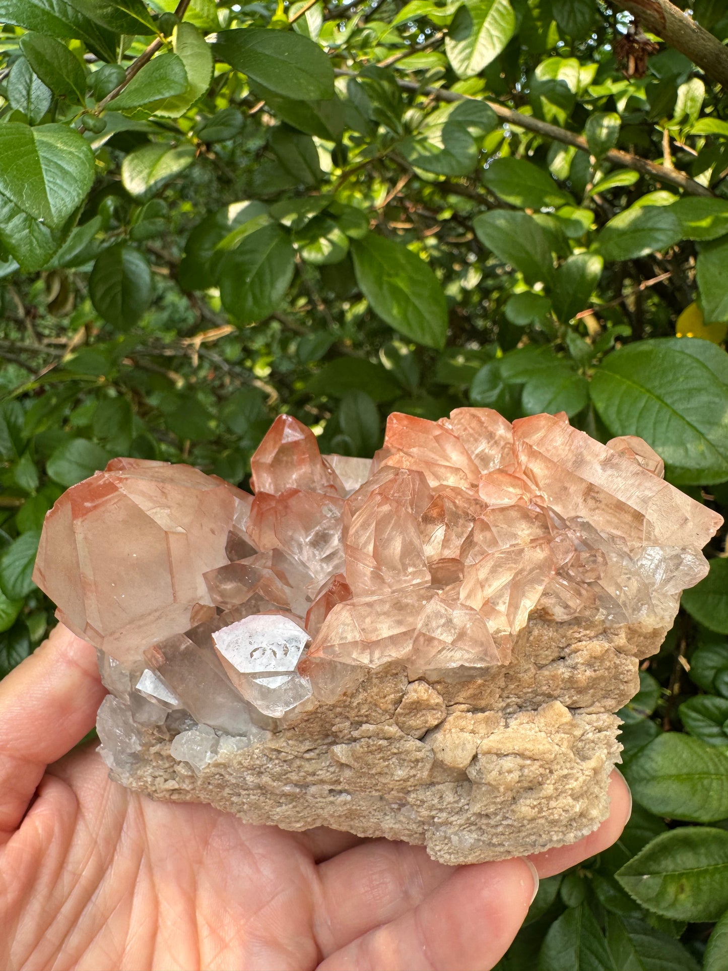 Pink Lithium Quartz Cluster 1lb 5oz - Brazil- Peaceful Beauty! - Moon Room Shop and Wellness