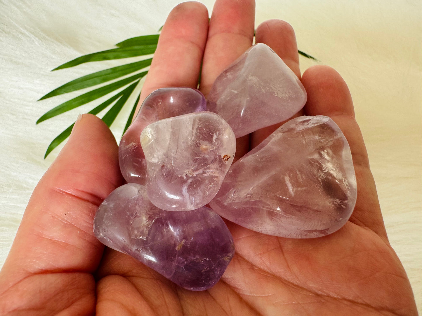 Amethyst Tumbled - Moon Room Shop and Wellness