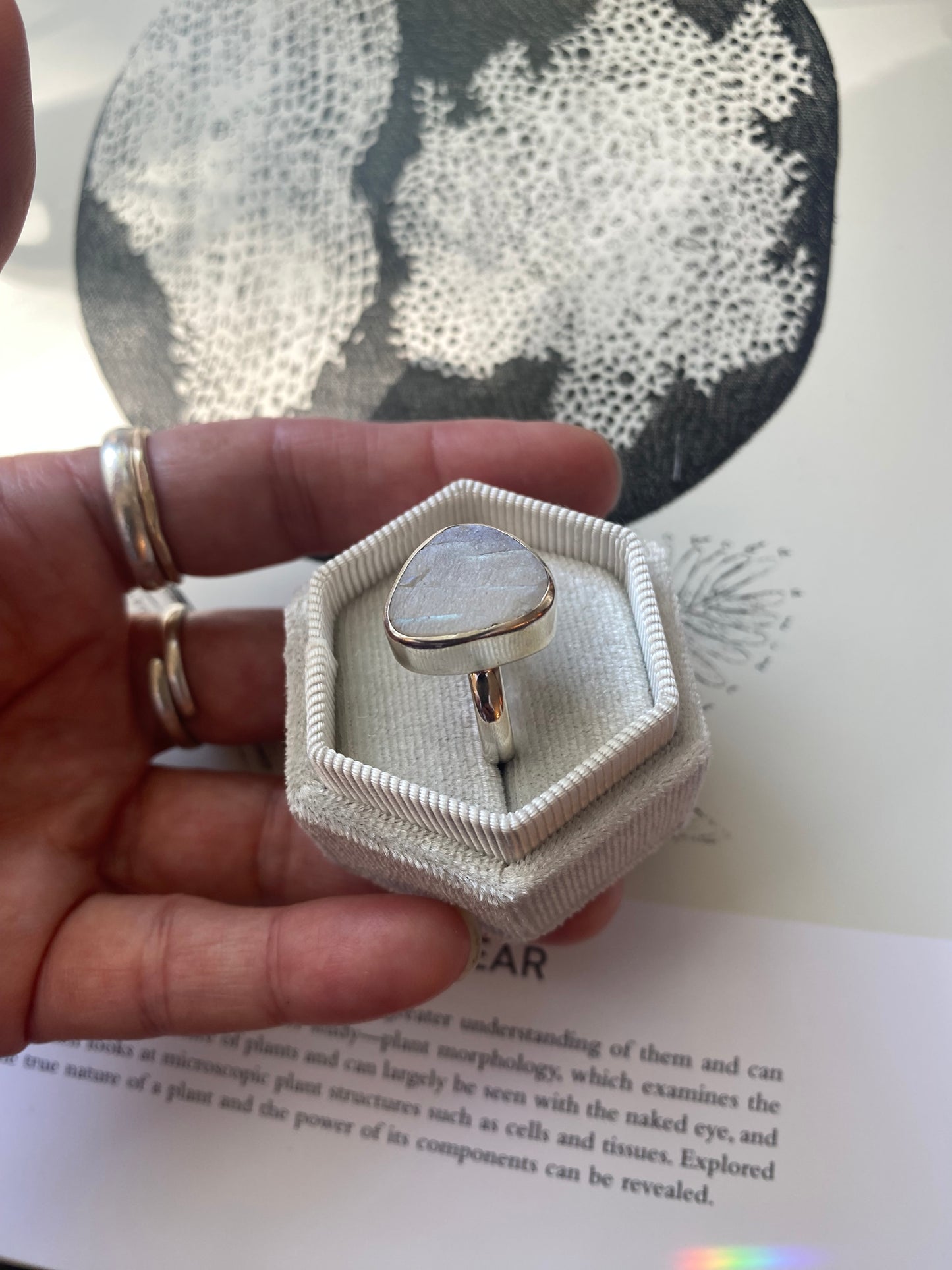 African Rainbow Moonstone Sterling Silver Ring Size 7 - Moon Room Shop and Wellness