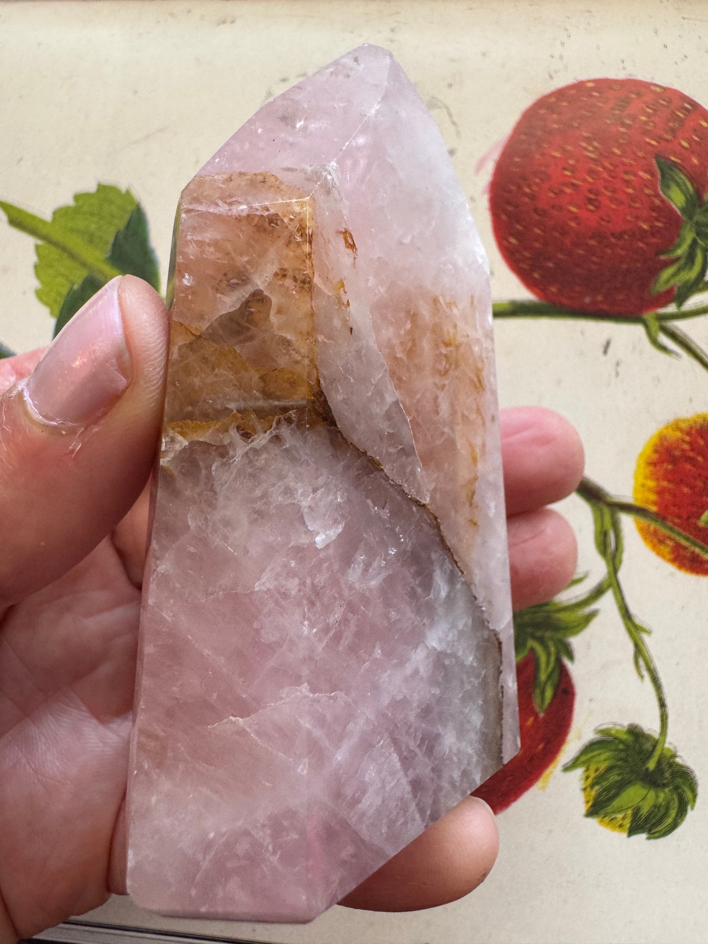 Rose Quartz with Golden Healer Tower 172 g - Brazilian Beauty! - Moon Room Shop and Wellness
