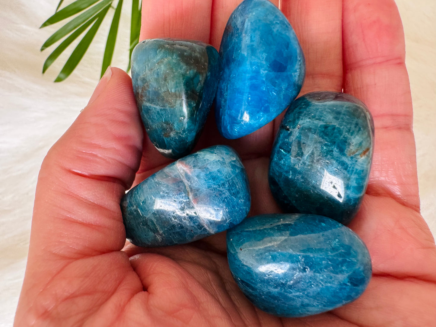Blue Apatite Tumbled - Moon Room Shop and Wellness