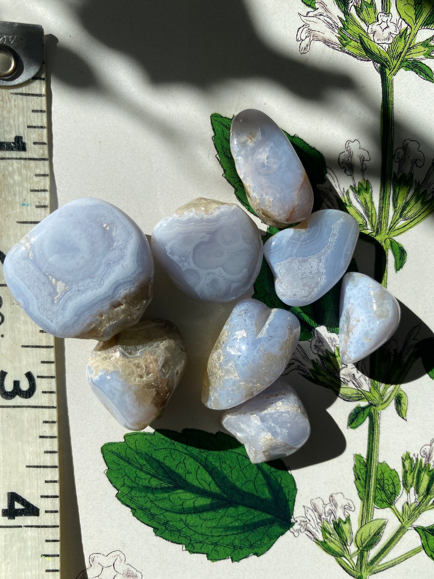 Blue Lace Agate Tumbled - Moon Room Shop and Wellness