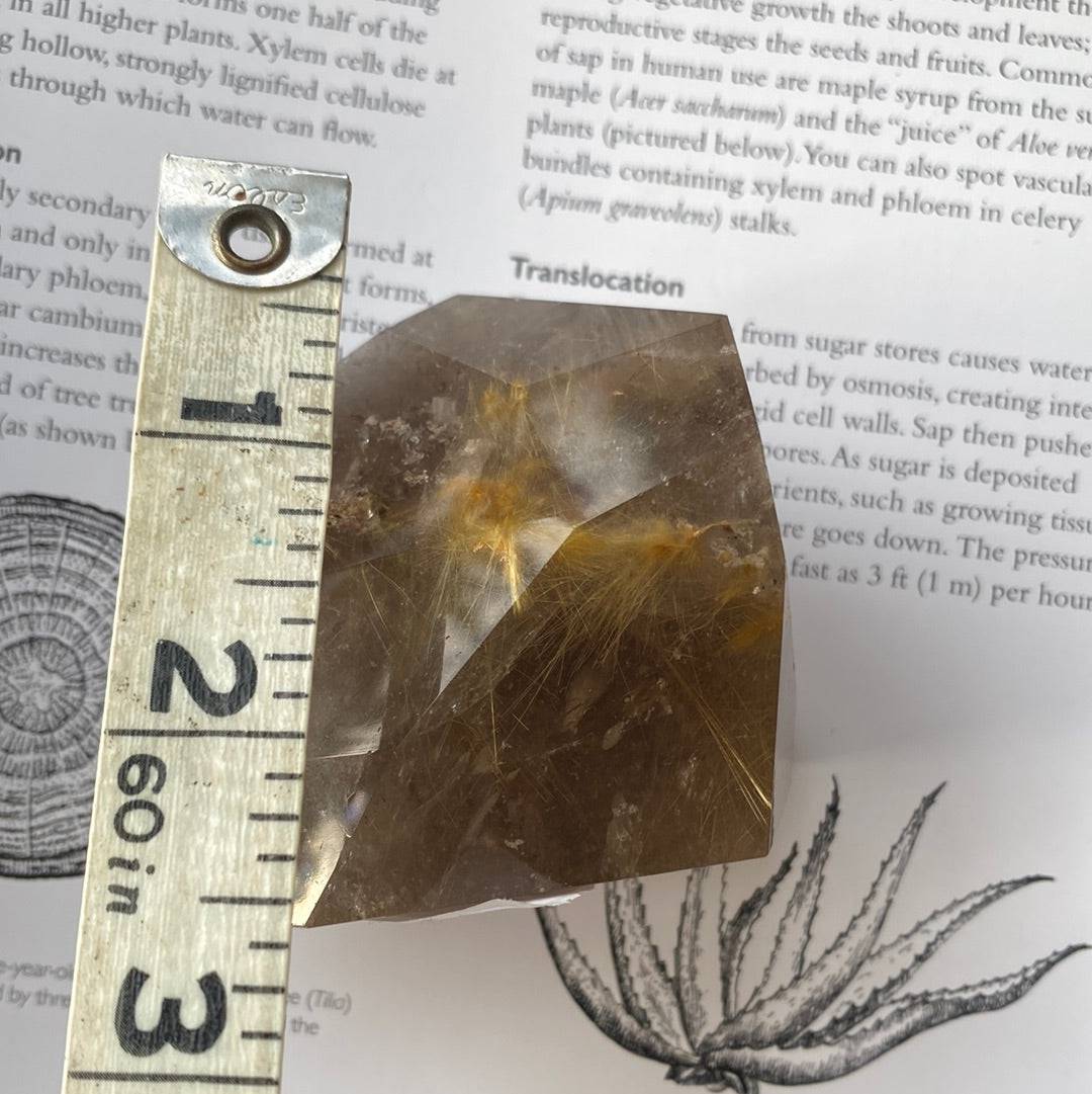 Garden Quartz With Gold Rutile Freeform 241 g - Moon Room Shop and Wellness